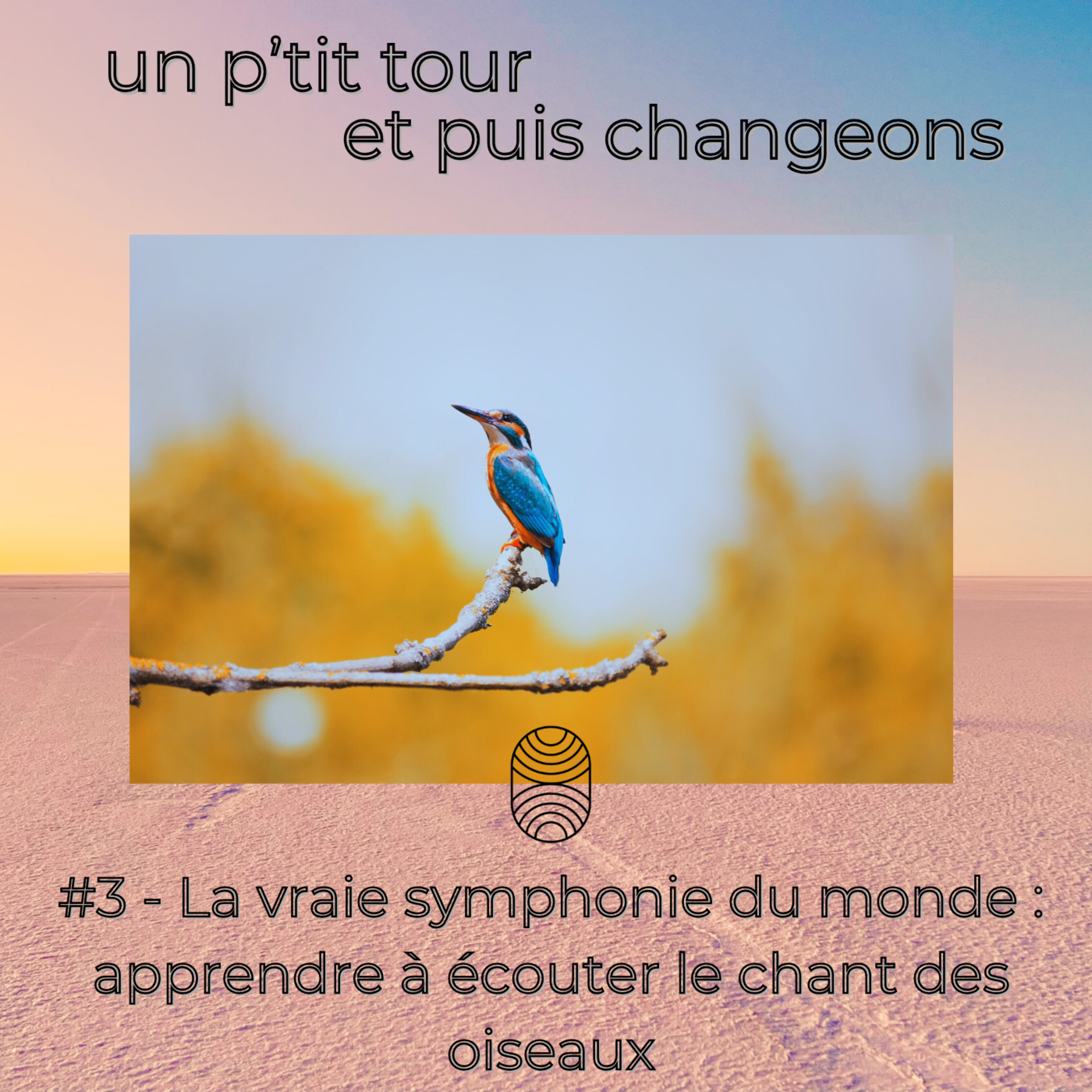 Episode 3 - La vraie symphonie du monde : apprendre à écouter le chant des oiseaux