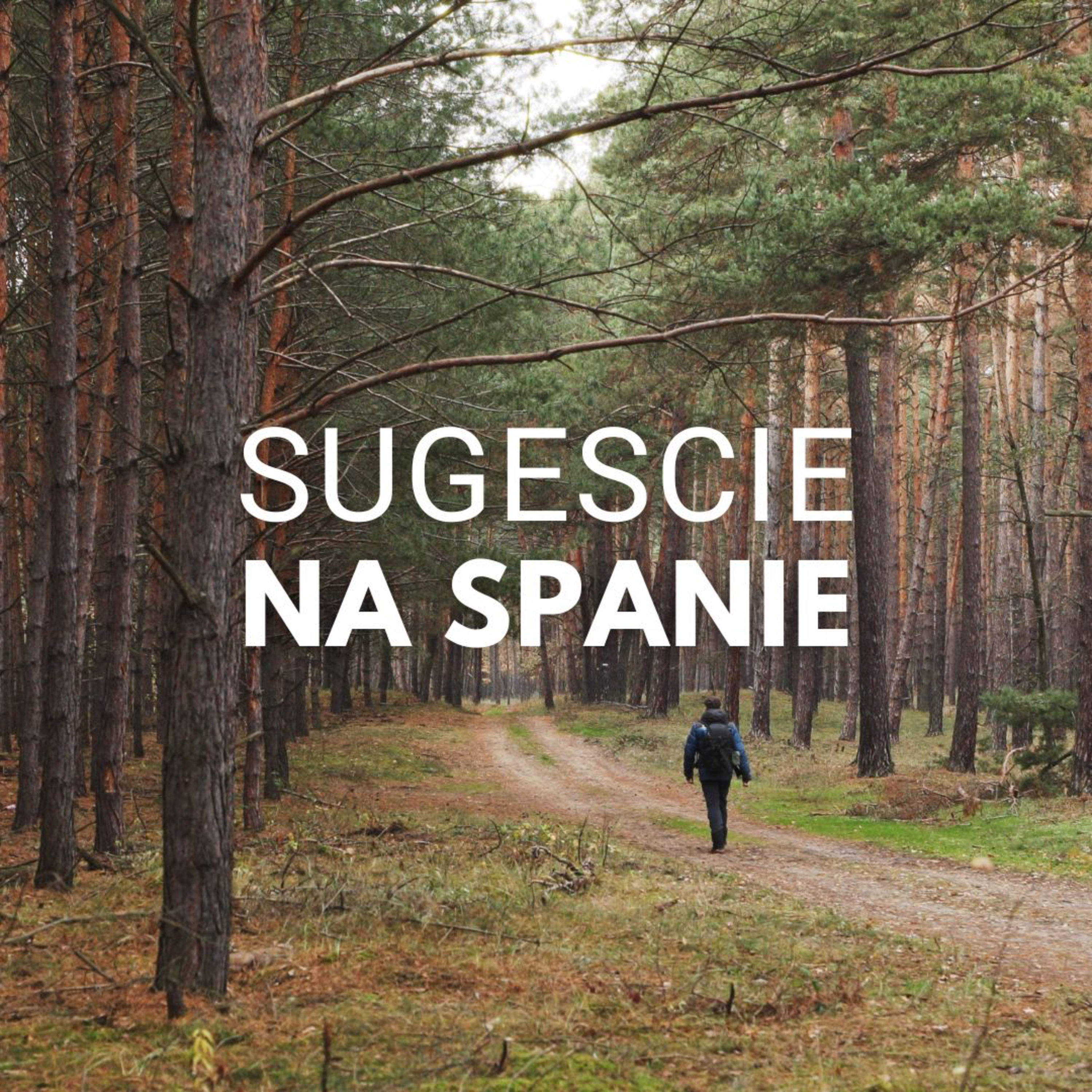 Pokojné sugescie na spanie | Šum borovicového lesa episode artwork