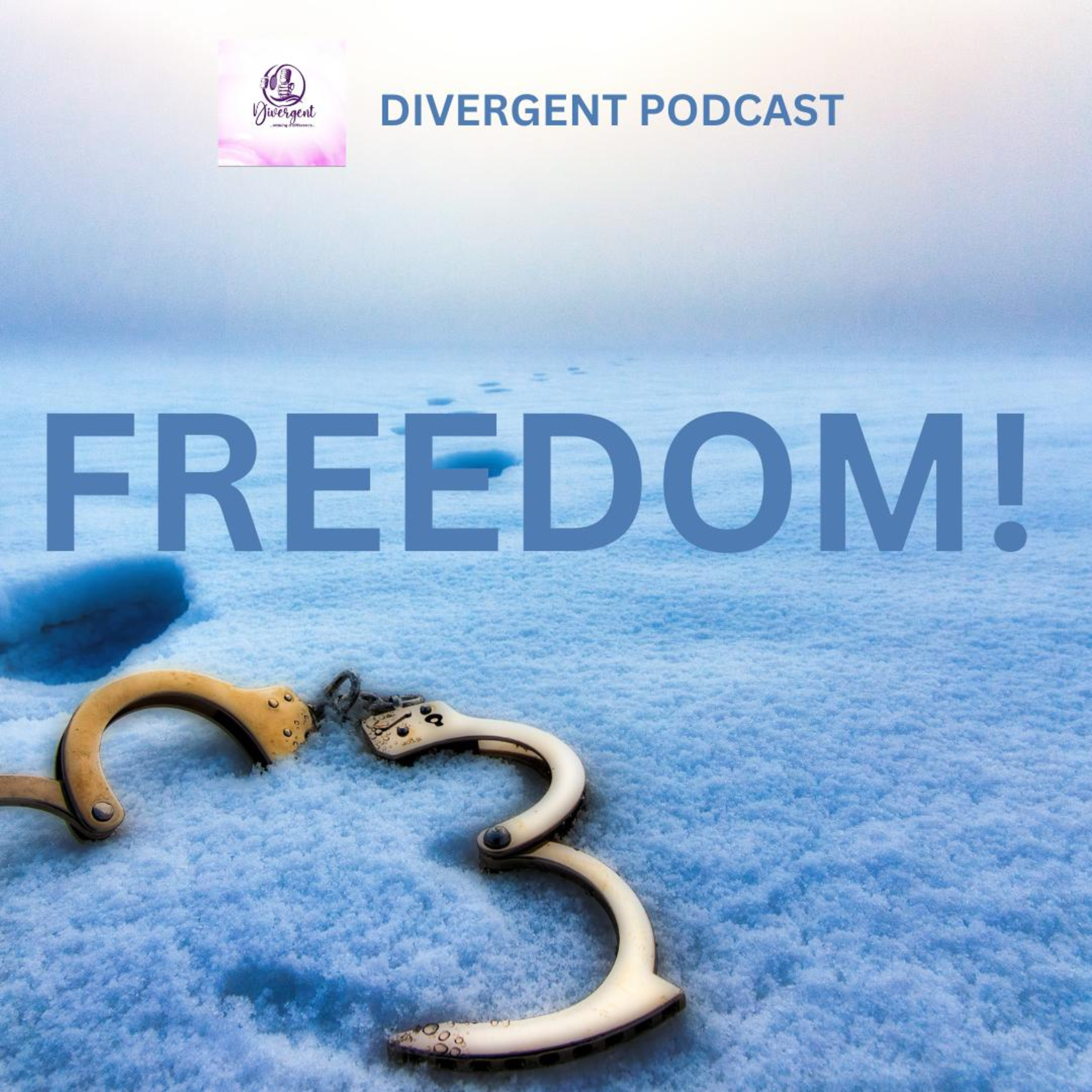 FREEDOM episode artwork