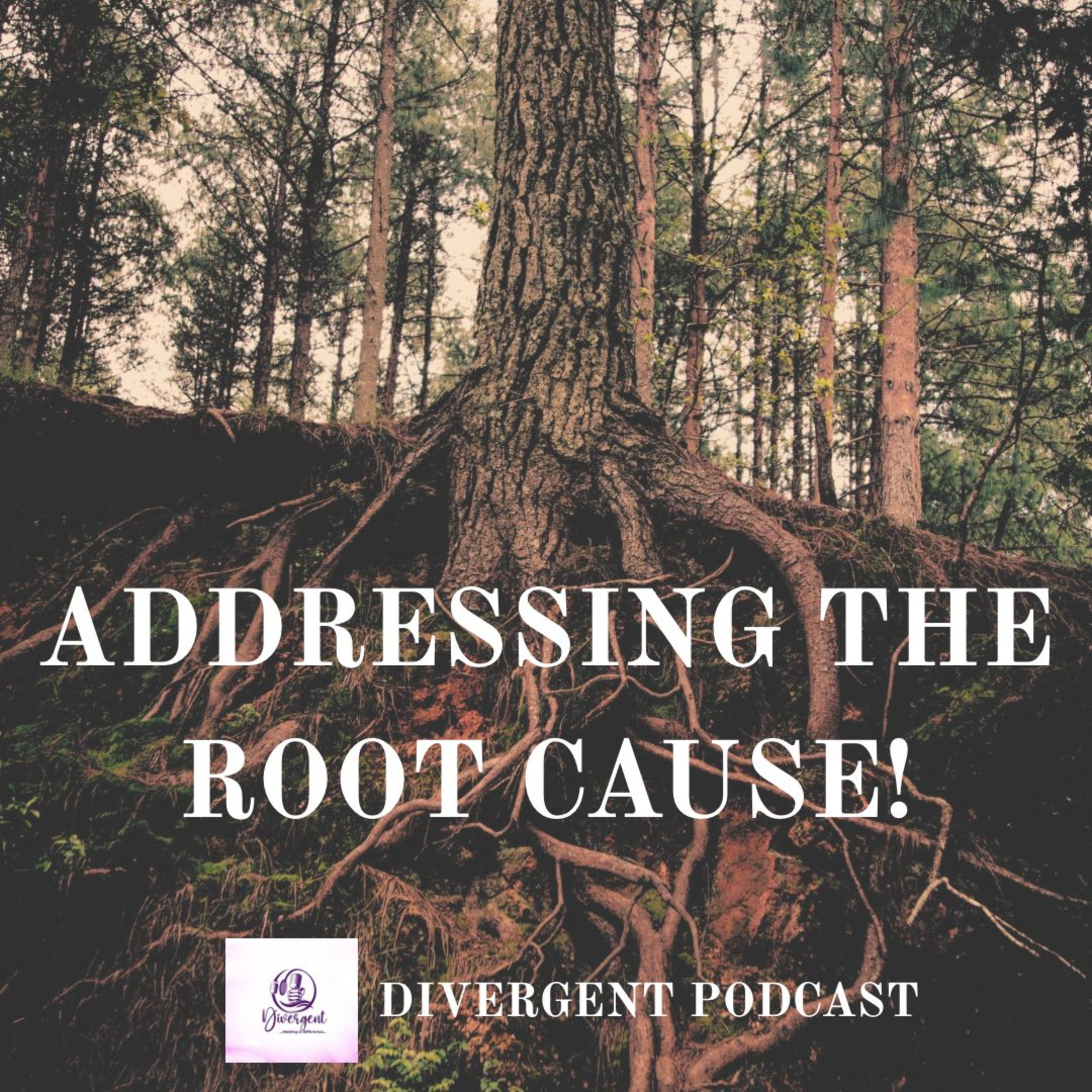 ADDRESSING THE ROOT CAUSE episode artwork