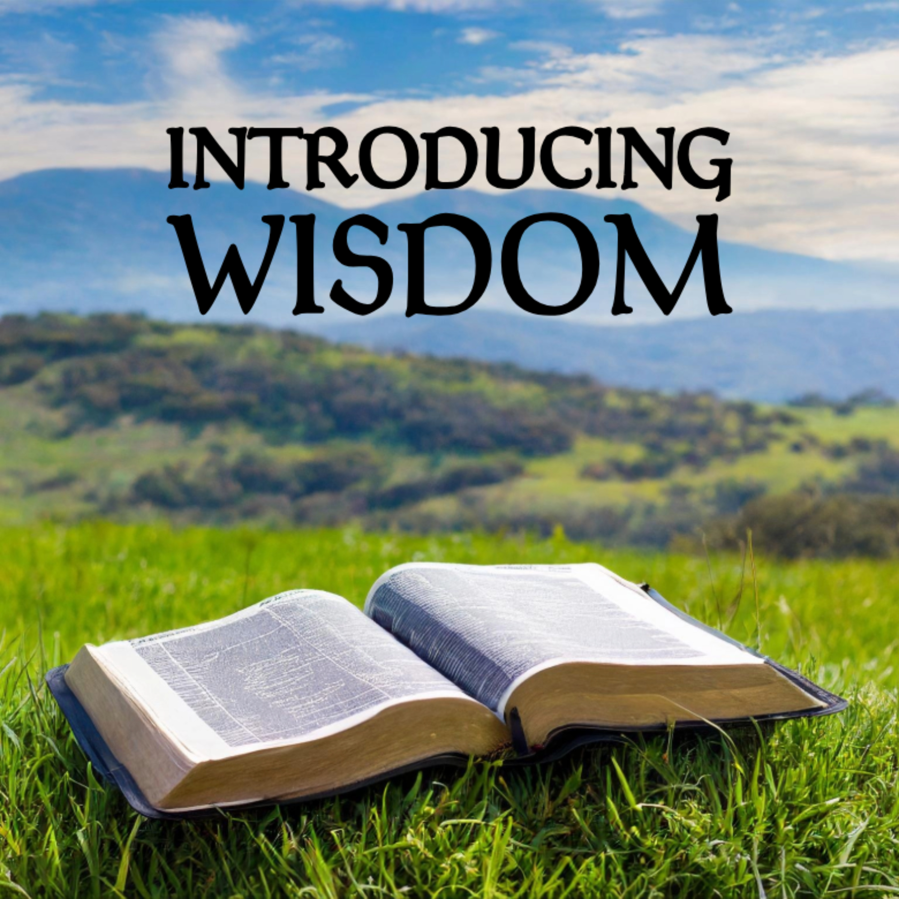 Introducing Wisdom episode artwork