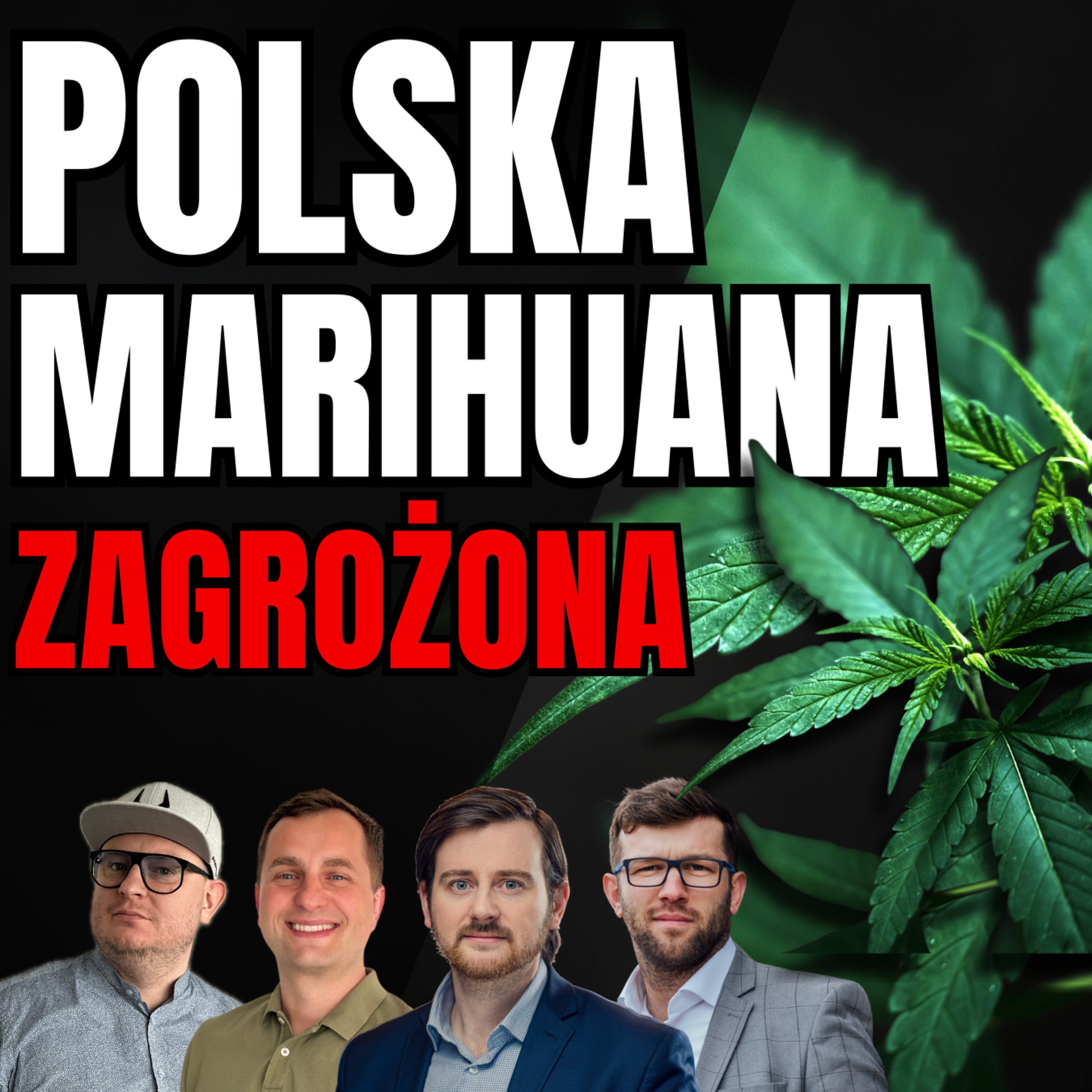 Polska marihuana zagrożona /BizŁyk episode artwork