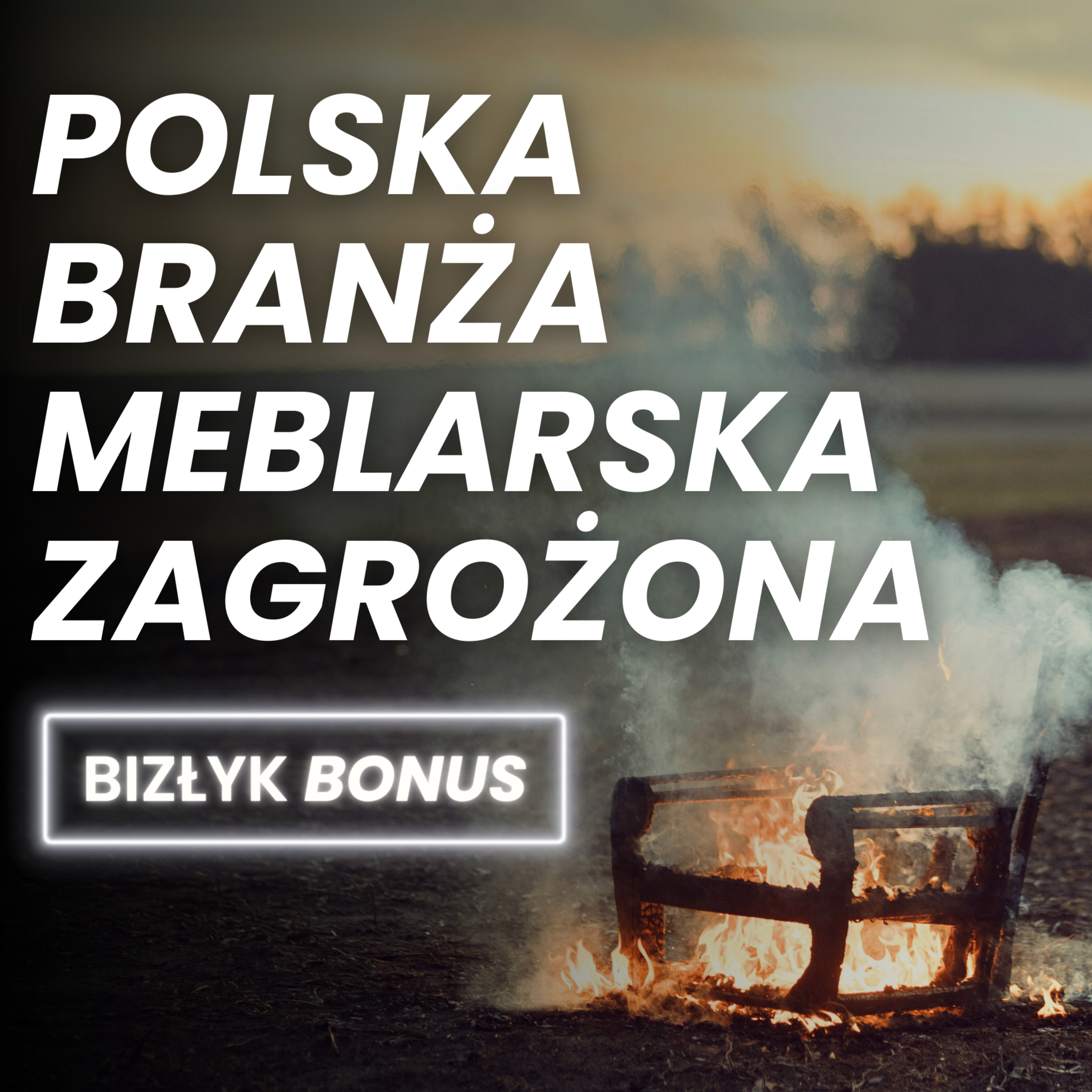 Polska branża meblarska zagrożona | BizŁyk BONUS episode artwork