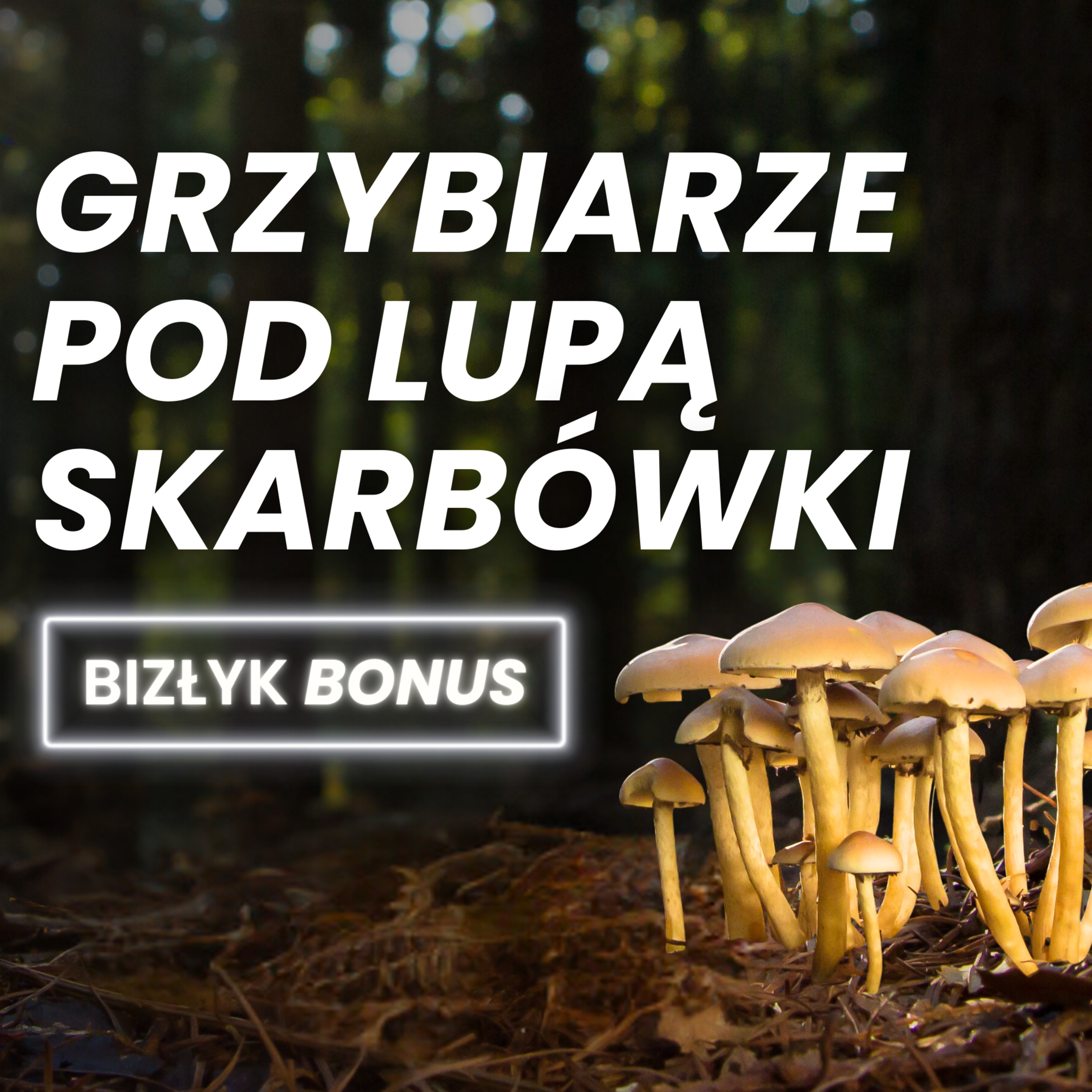 Grzybiarze pod lupą skarbówki | BizŁyk BONUS episode artwork