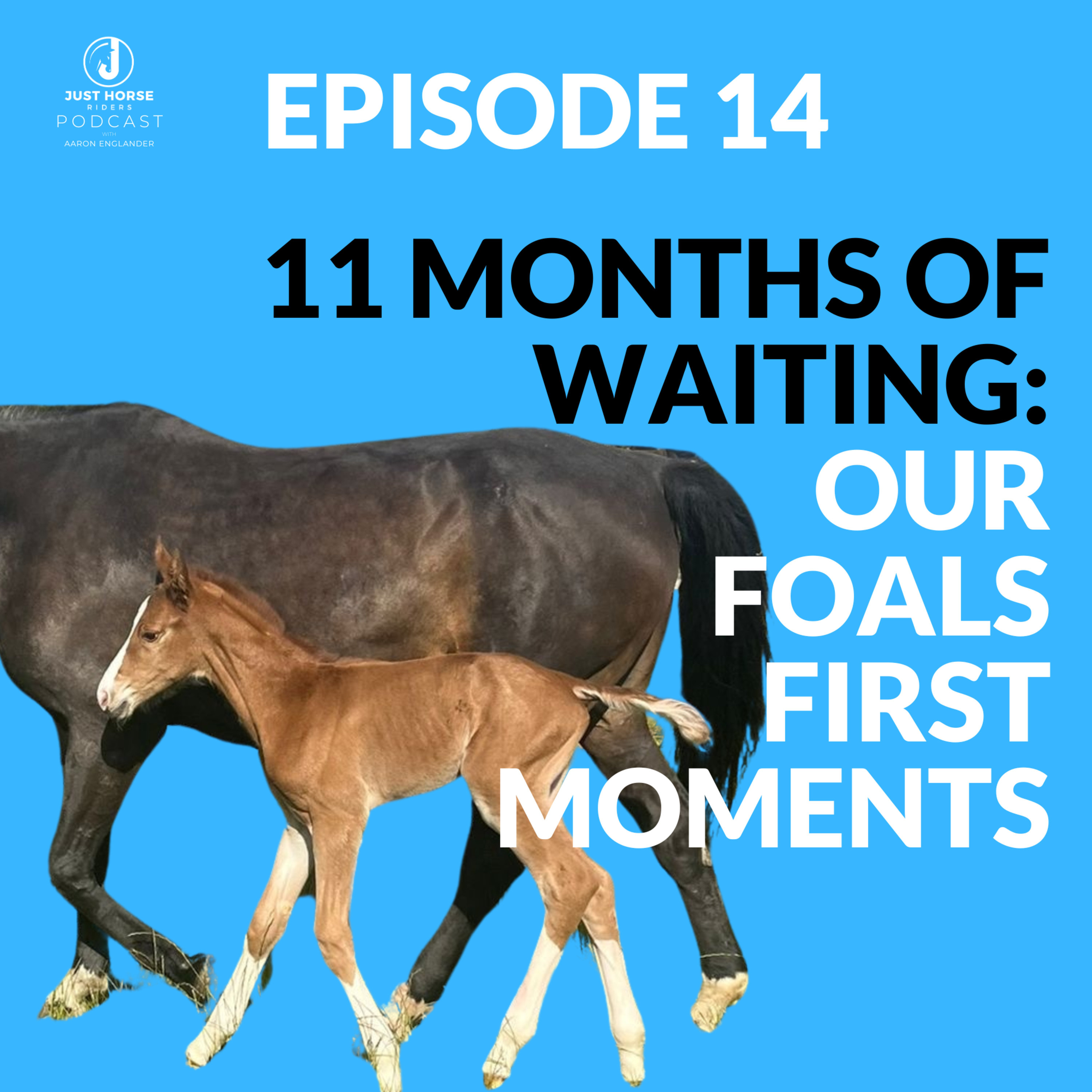 Our Foal’s First Moments: Did You Know How Quickly Horses Learn? 🐎💫Episode 14 - Just Horse Riders Podcast episode artwork