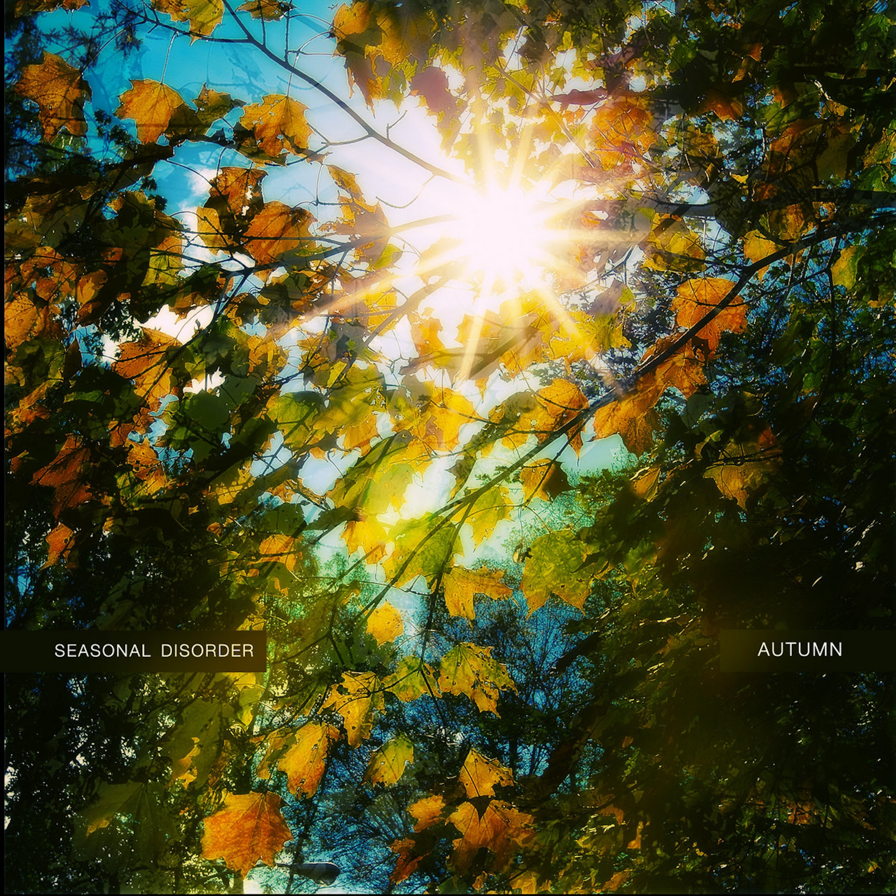 Seasonal Disorder: Autumn with Nat Baldwin, Nate Laban, and Bob Keal (Small Sur) episode artwork