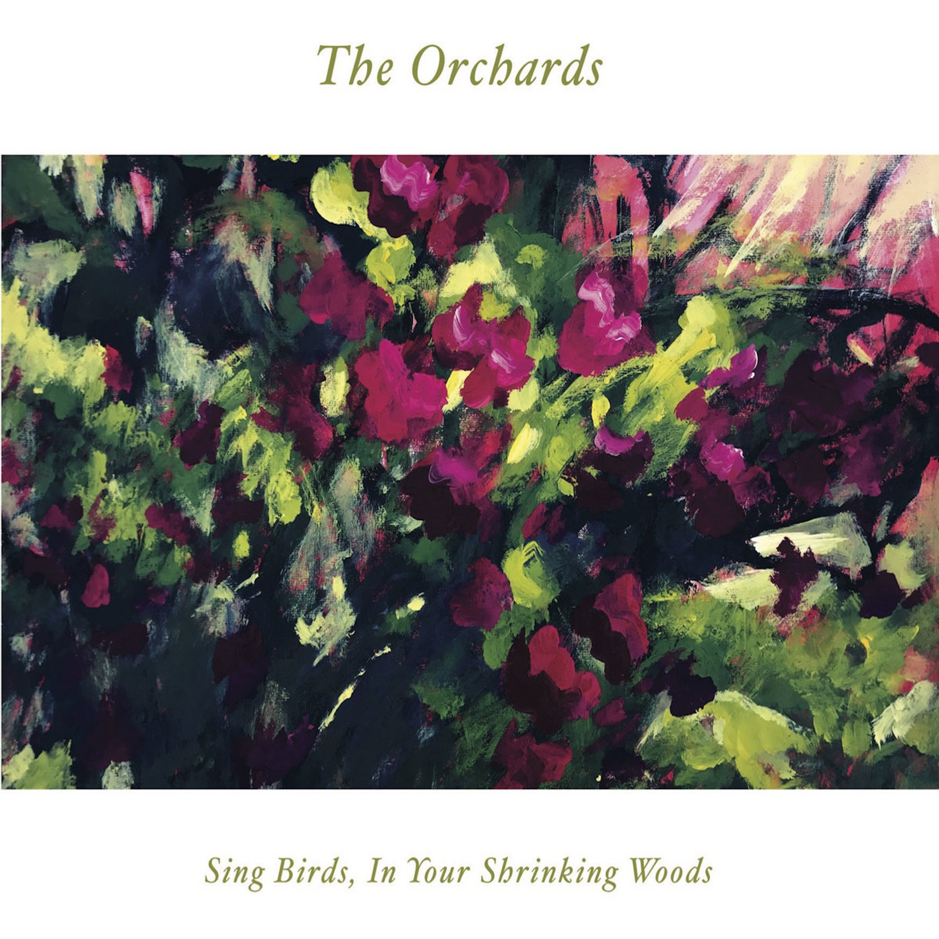The Orchards "Sing Birds, In Your Shrinking Woods" with Eric Schwan episode artwork