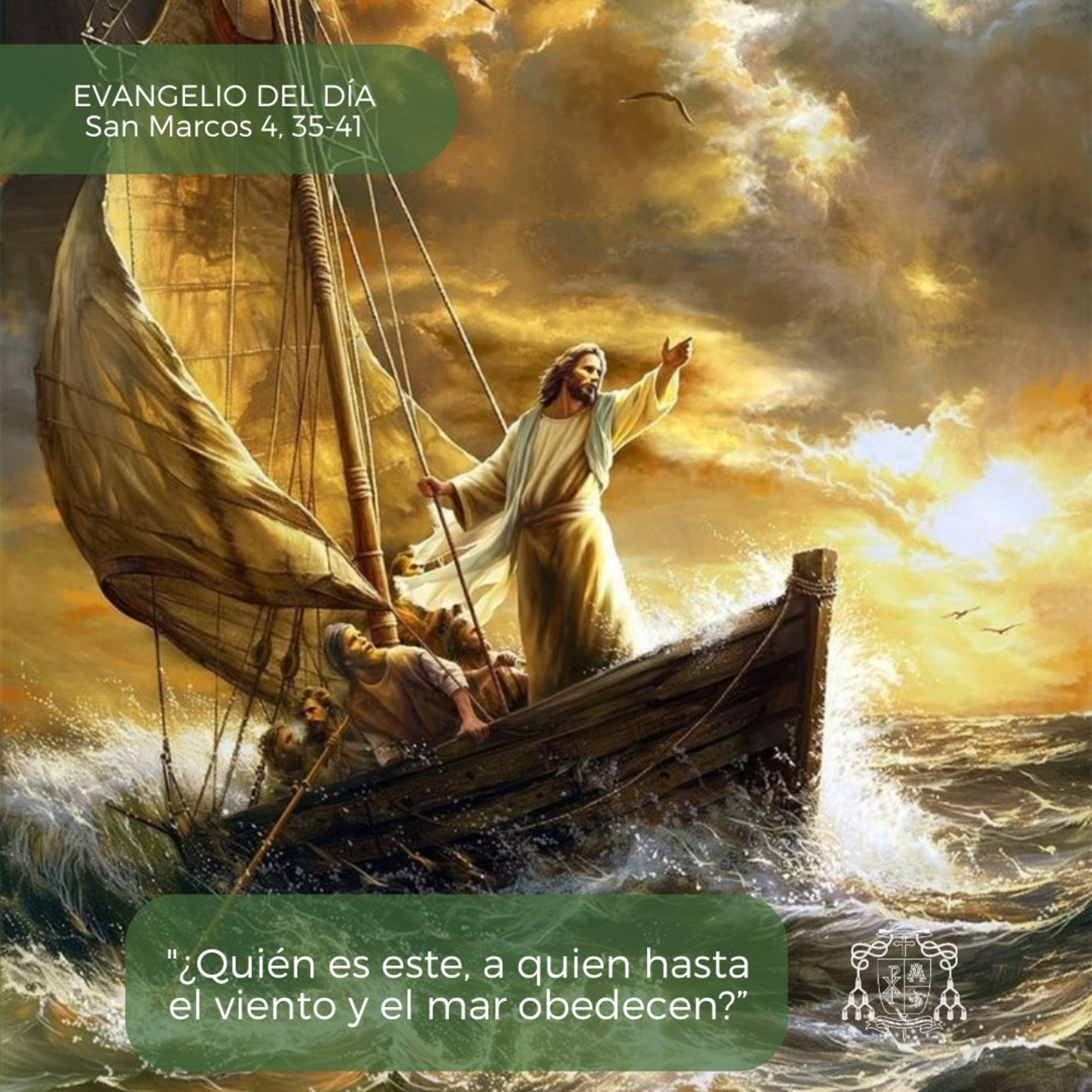 🟢 XI ORDINARIO, SÁBADO episode artwork