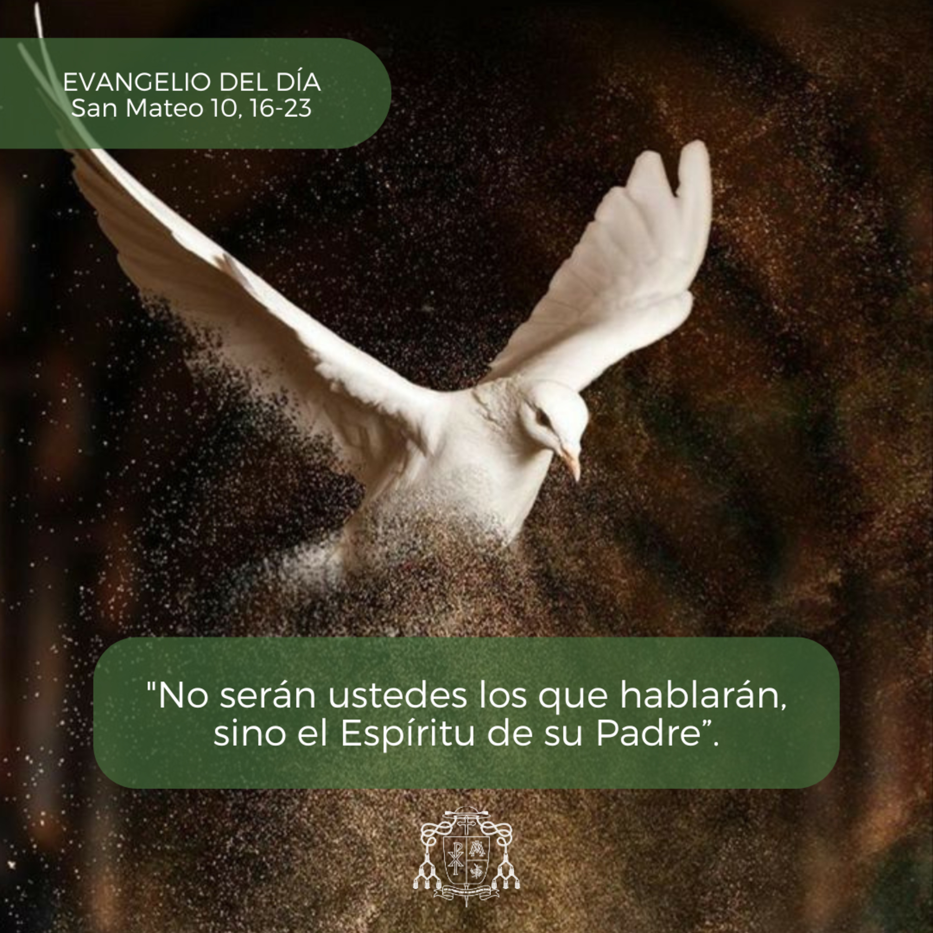 🟢 XIV ORDINARIO, VIERNES episode artwork