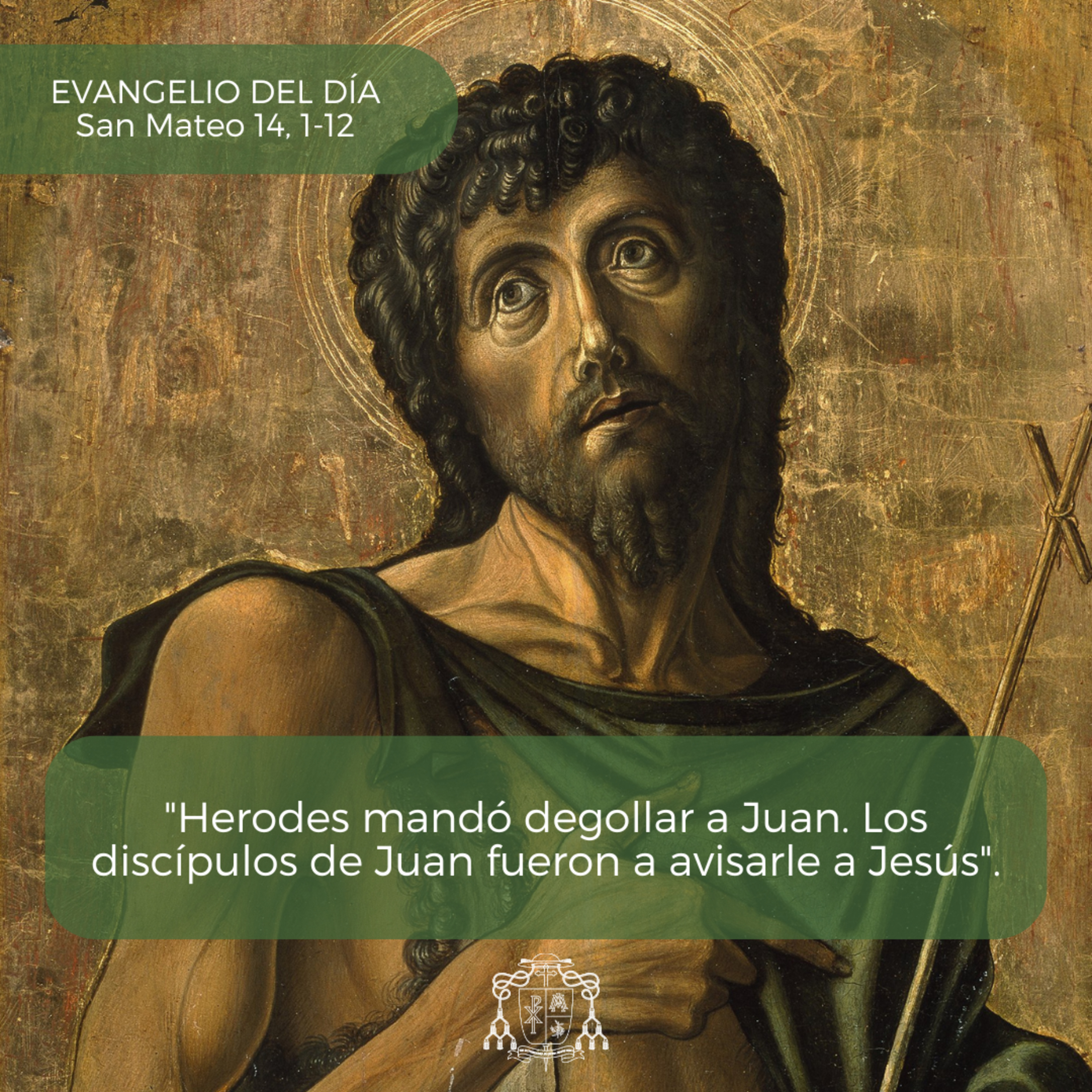 🟢 XVII ORDINARIO, SÁBADO episode artwork