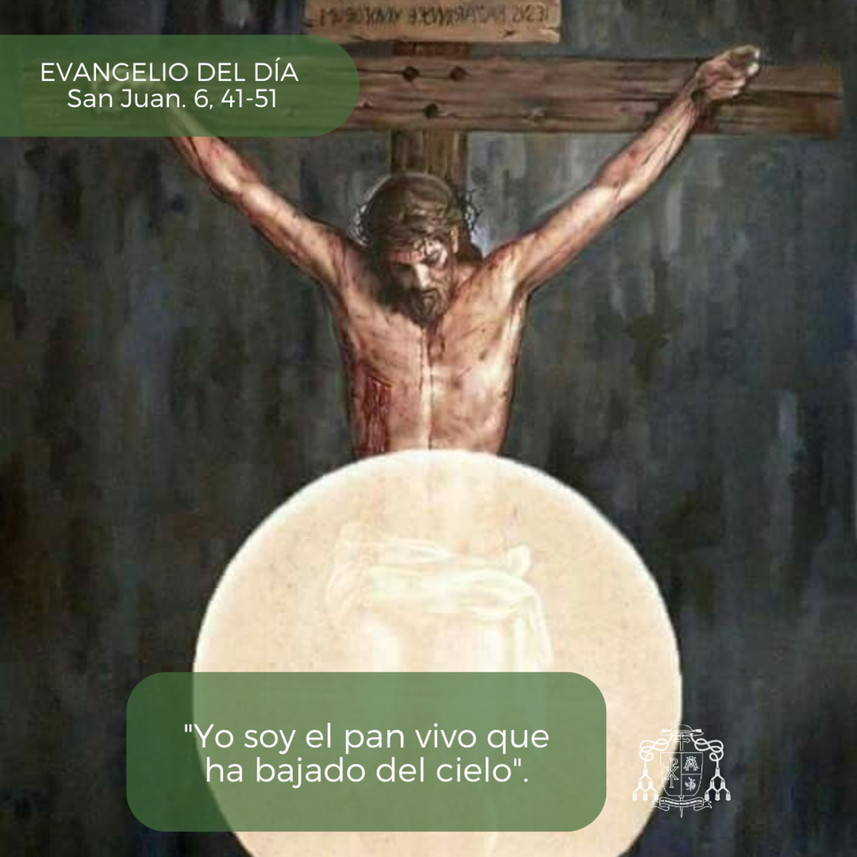 🟢 XIX ORDINARIO, DOMINGO episode artwork
