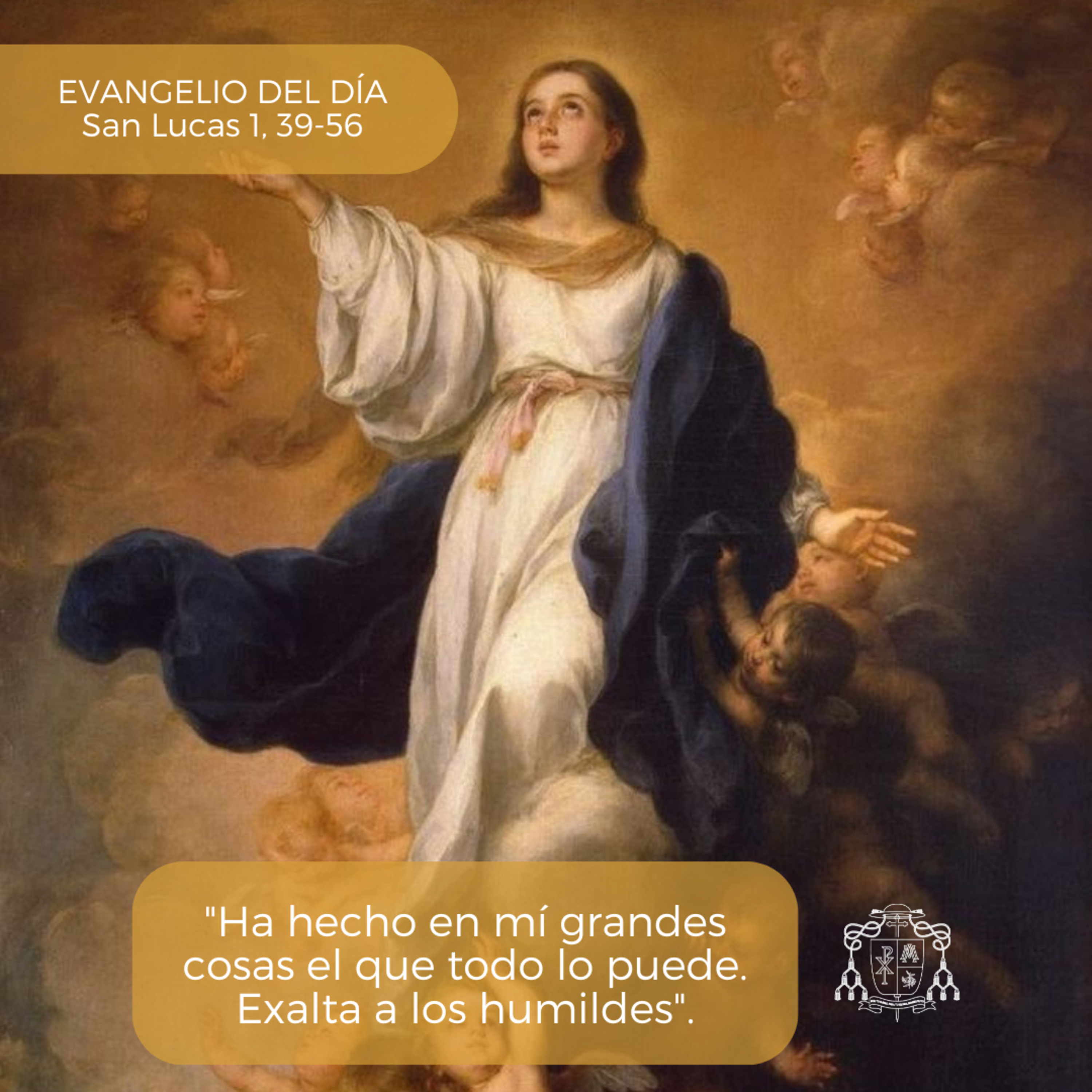 ⚪ FIESTA DE LA ASUNCIÓN DE LA VIRGEN MARÍA, JUEVES episode artwork