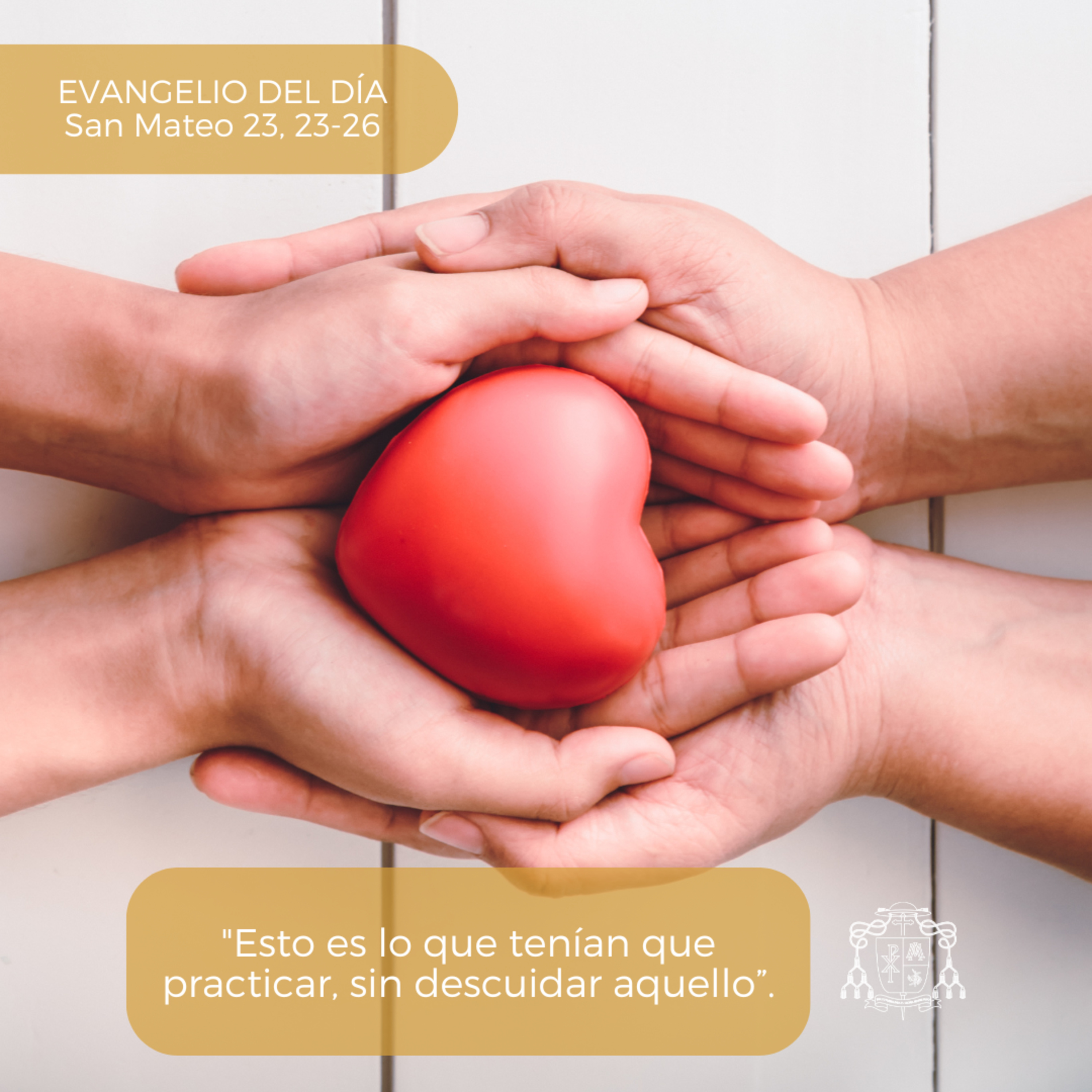 ⚪ XXI ORDINARIO, MARTES episode artwork