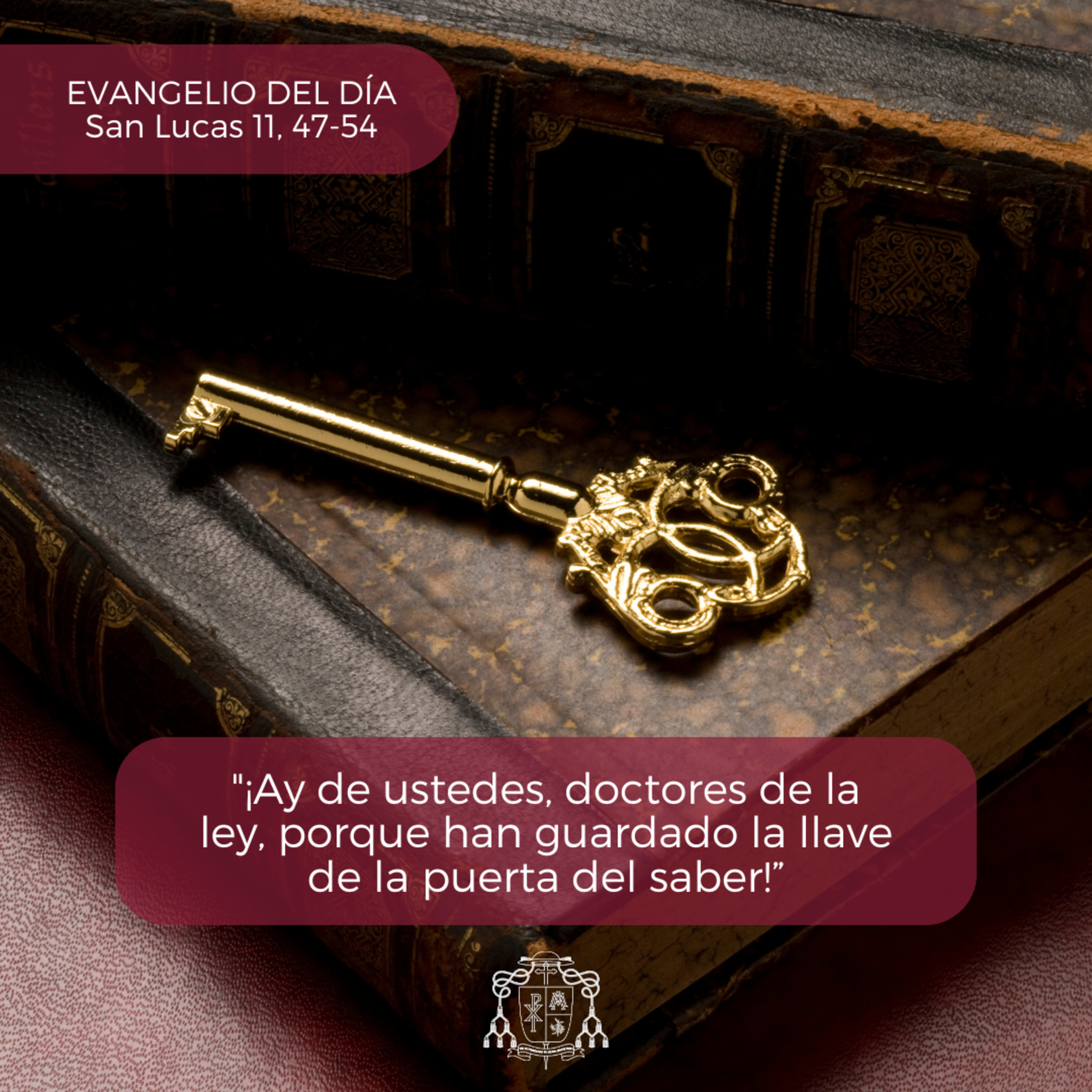 🔴 XXVIII ORDINARIO, JUEVES episode artwork
