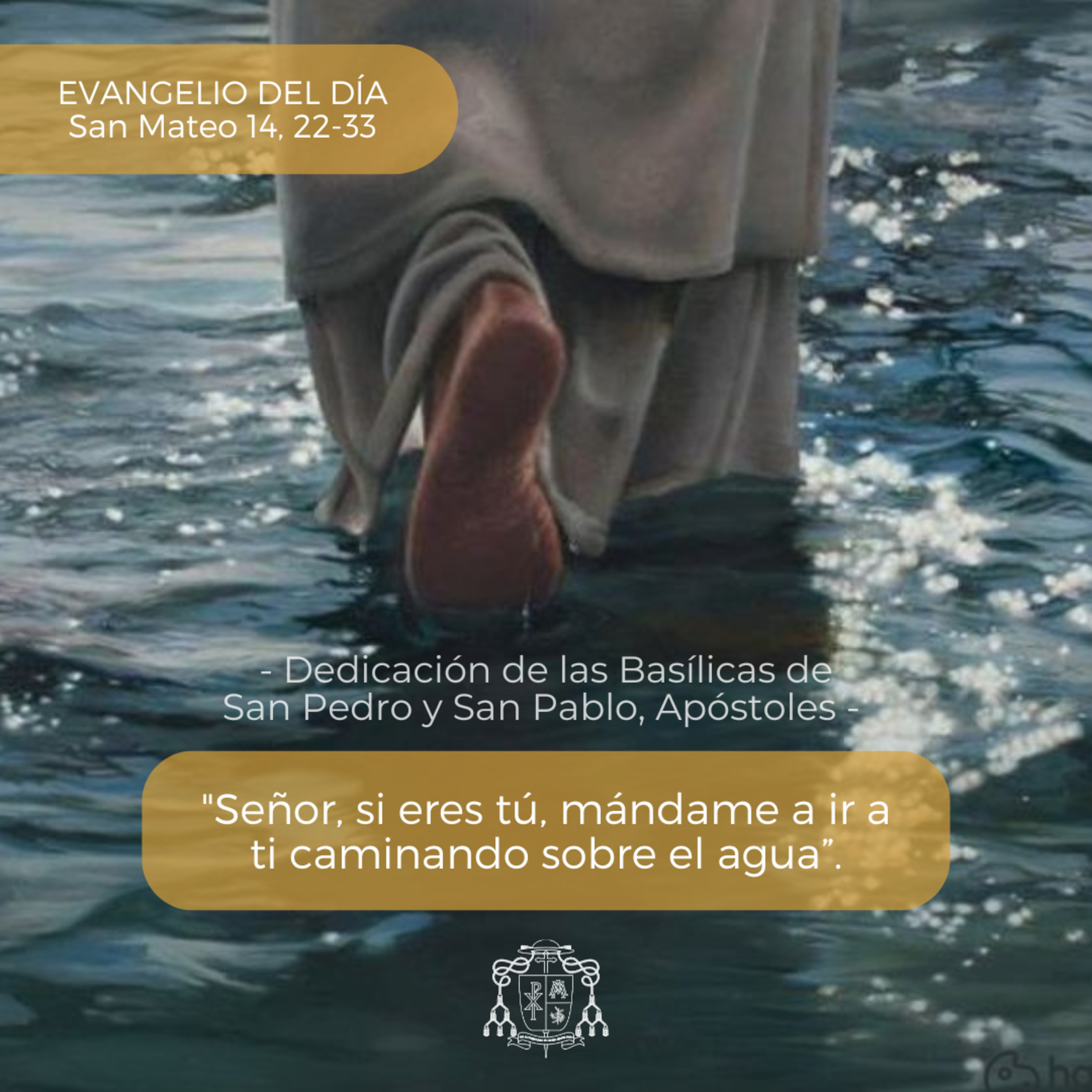 ⚪ DEDICACIÓN DE LAS BASÍLICAS DE SAN PEDRO Y SAN PABLO, APÓSTOLES. episode artwork