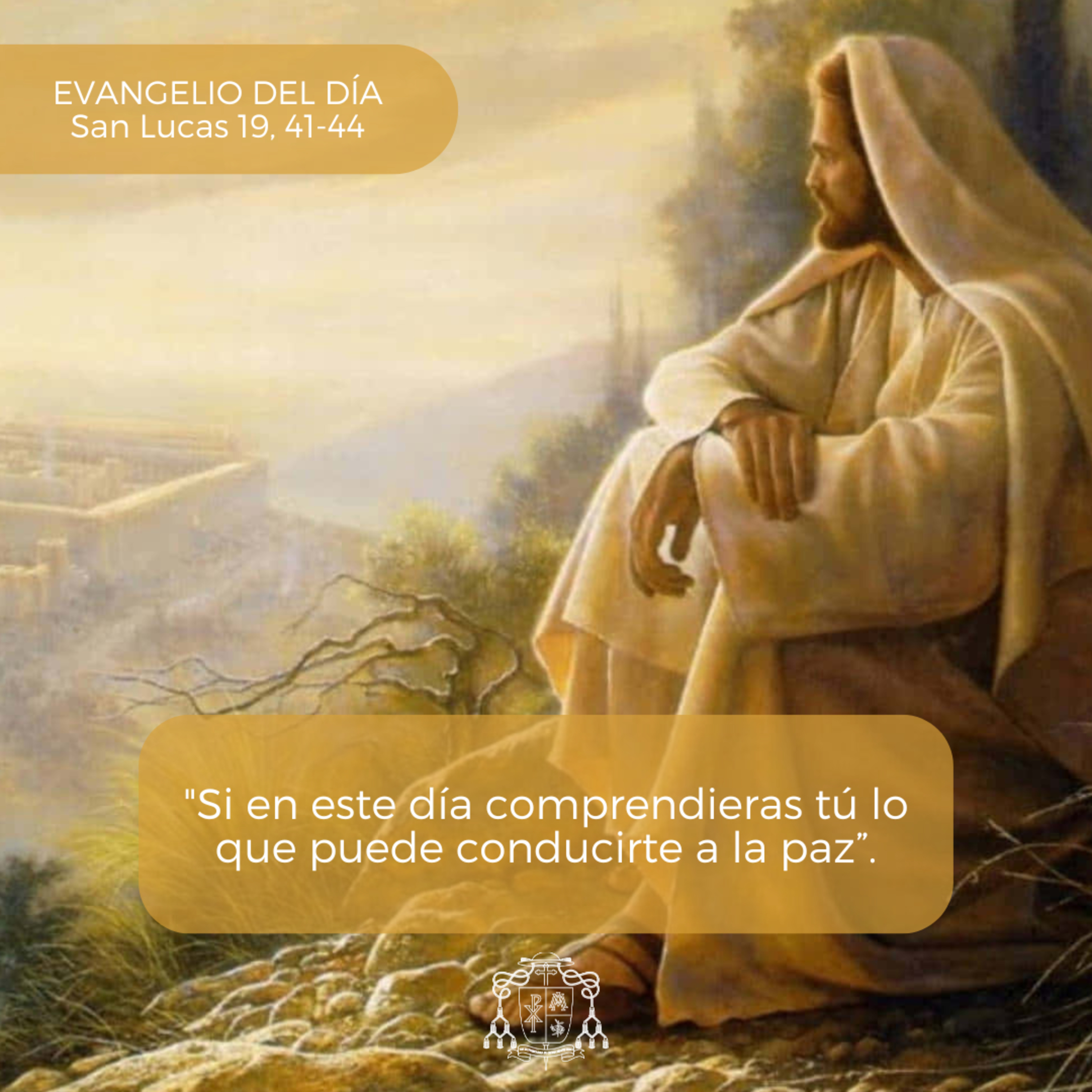 ⚪ XXXIII ORDINARIO, JUEVES episode artwork