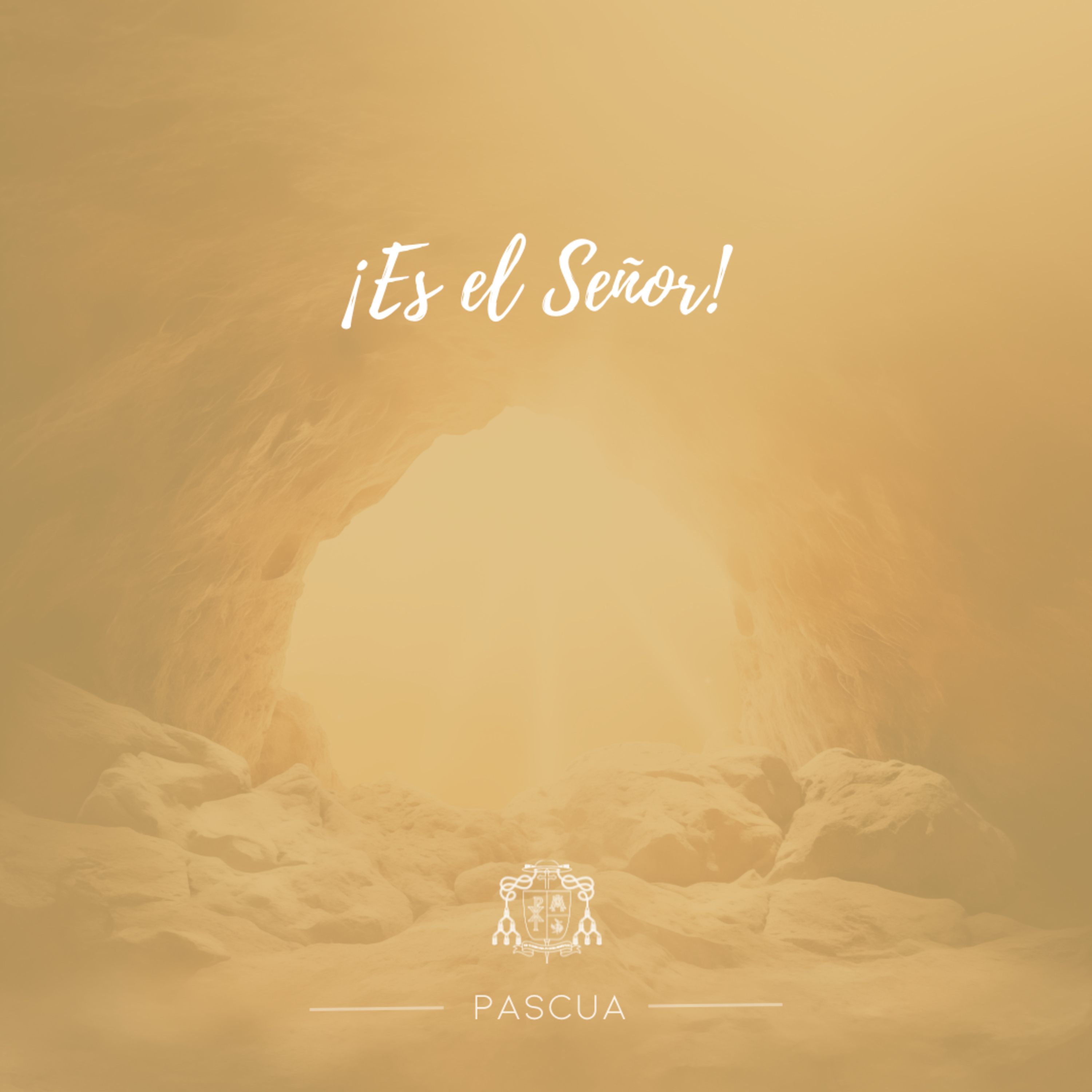 🟡 OCTAVA DE PASCUA, VIERNES episode artwork