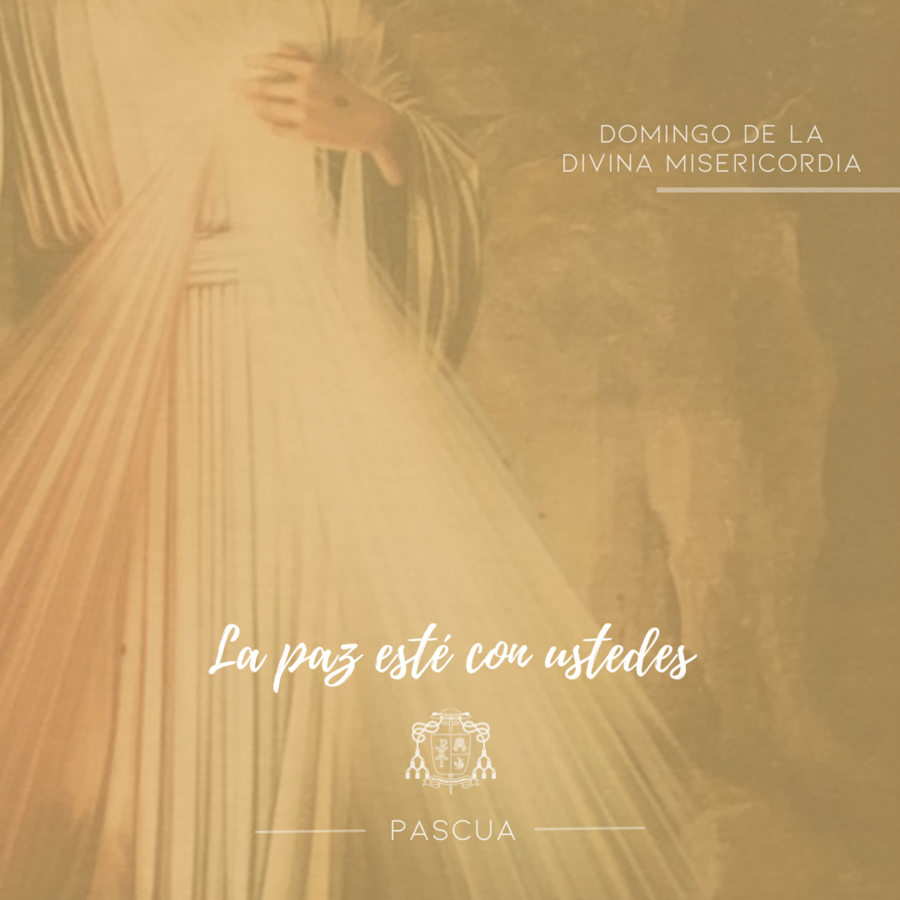 🟡 DOMINGO DE LA DIVINA MISERICORDIA episode artwork