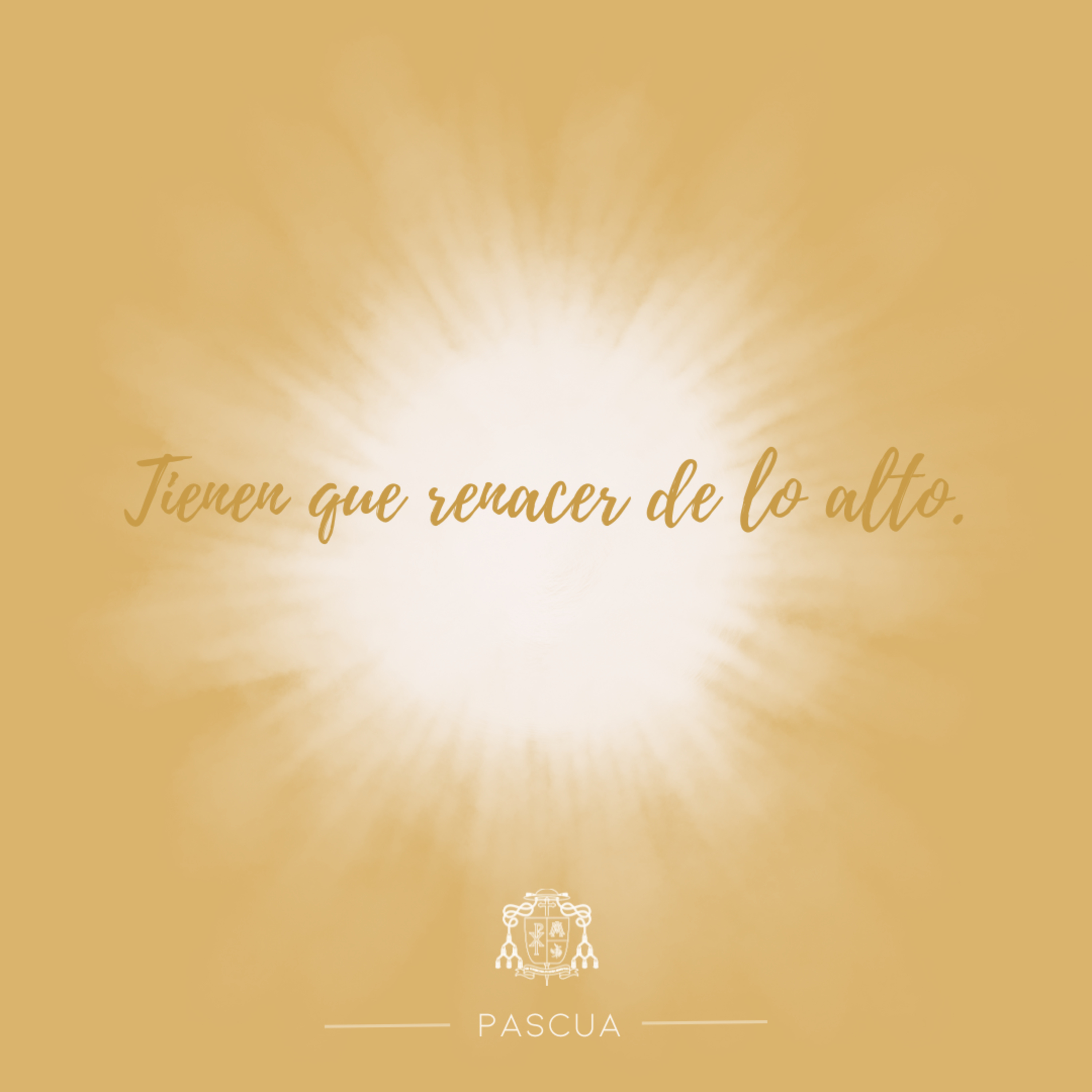 🟡 II PASCUA, LUNES episode artwork