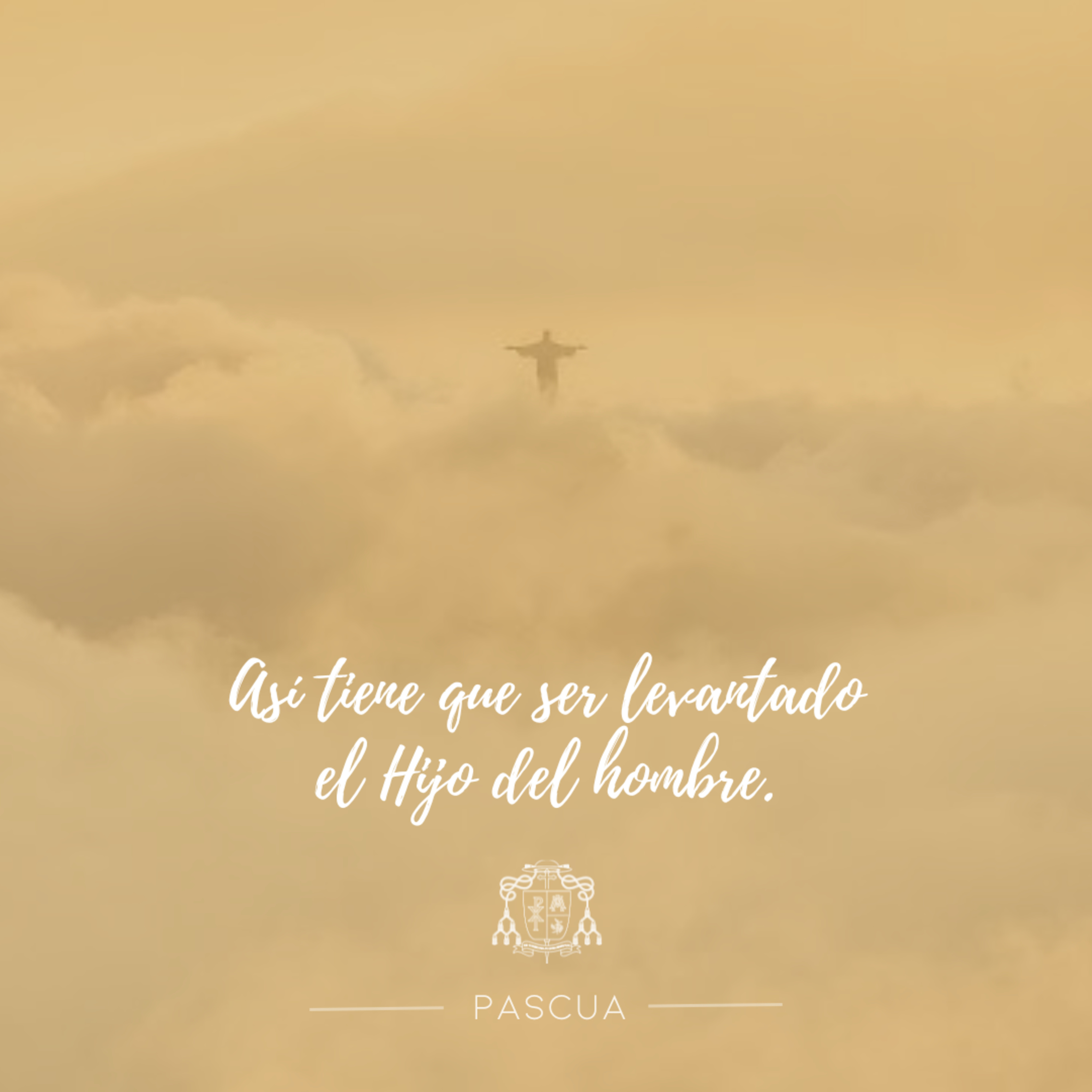 🟡 II PASCUA, MARTES episode artwork