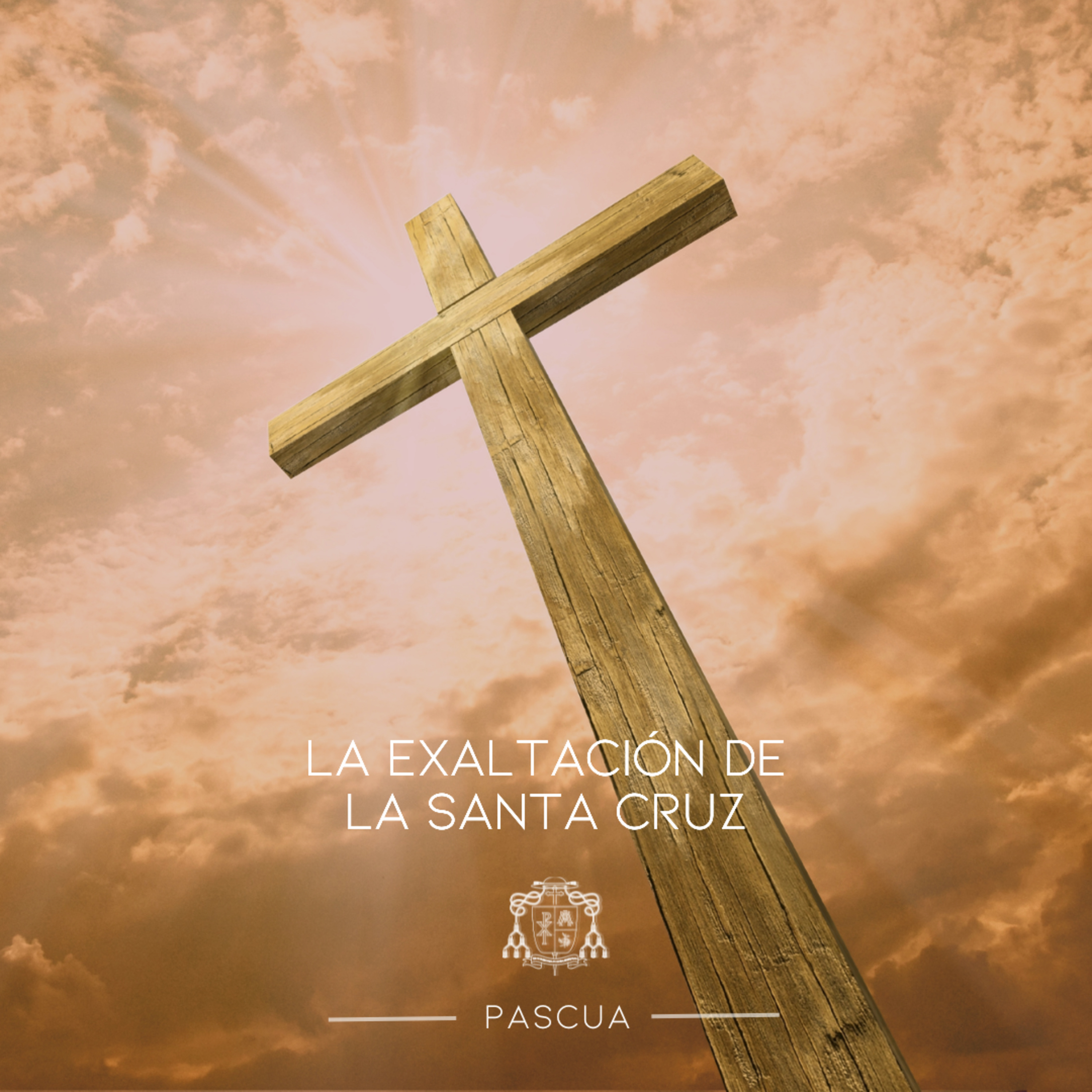 🔴 LA EXALTACIÓN DE LA SANTA CRUZ, SÁBADO episode artwork