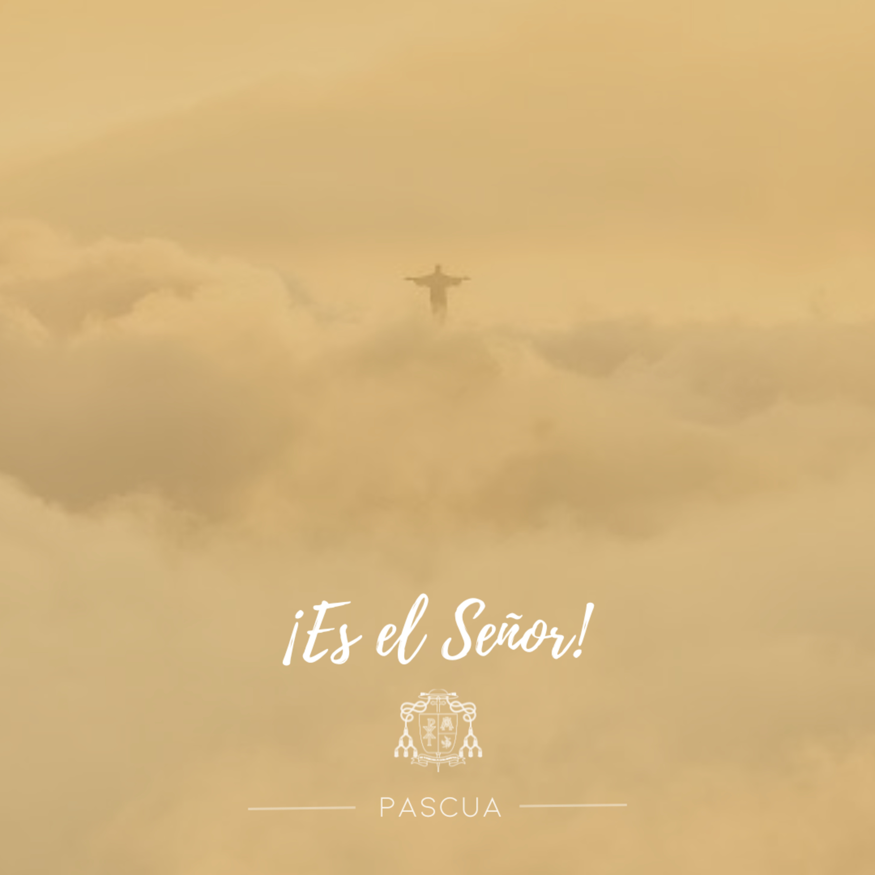 🟡 III  DOMINGO DE PASCUA episode artwork