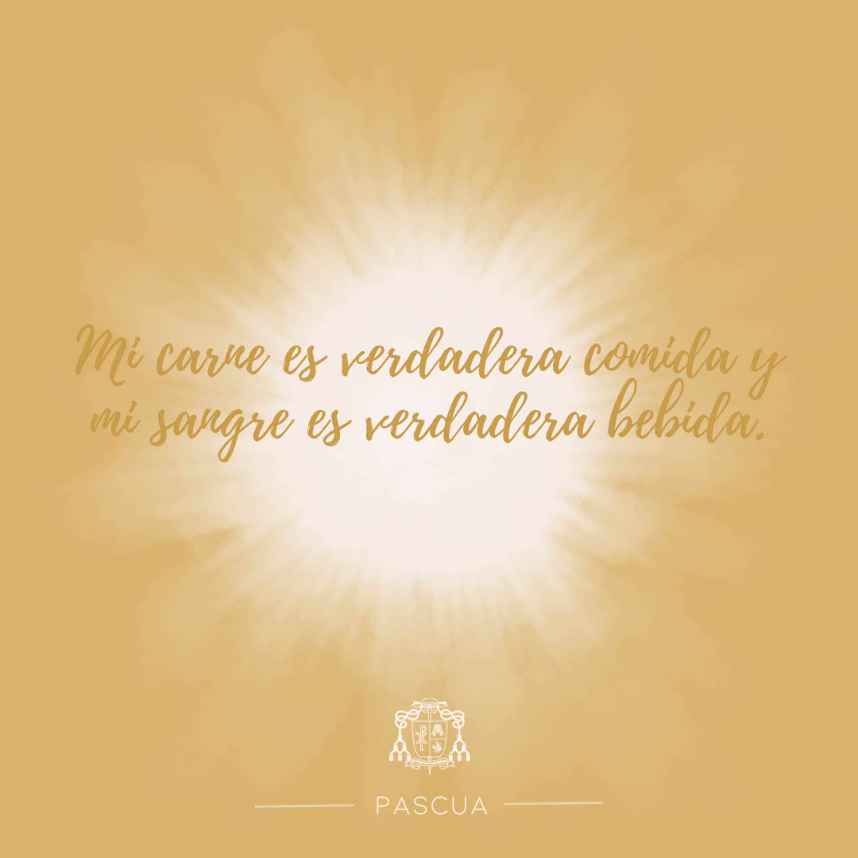 🟡 III PASCUA, VIERNES episode artwork