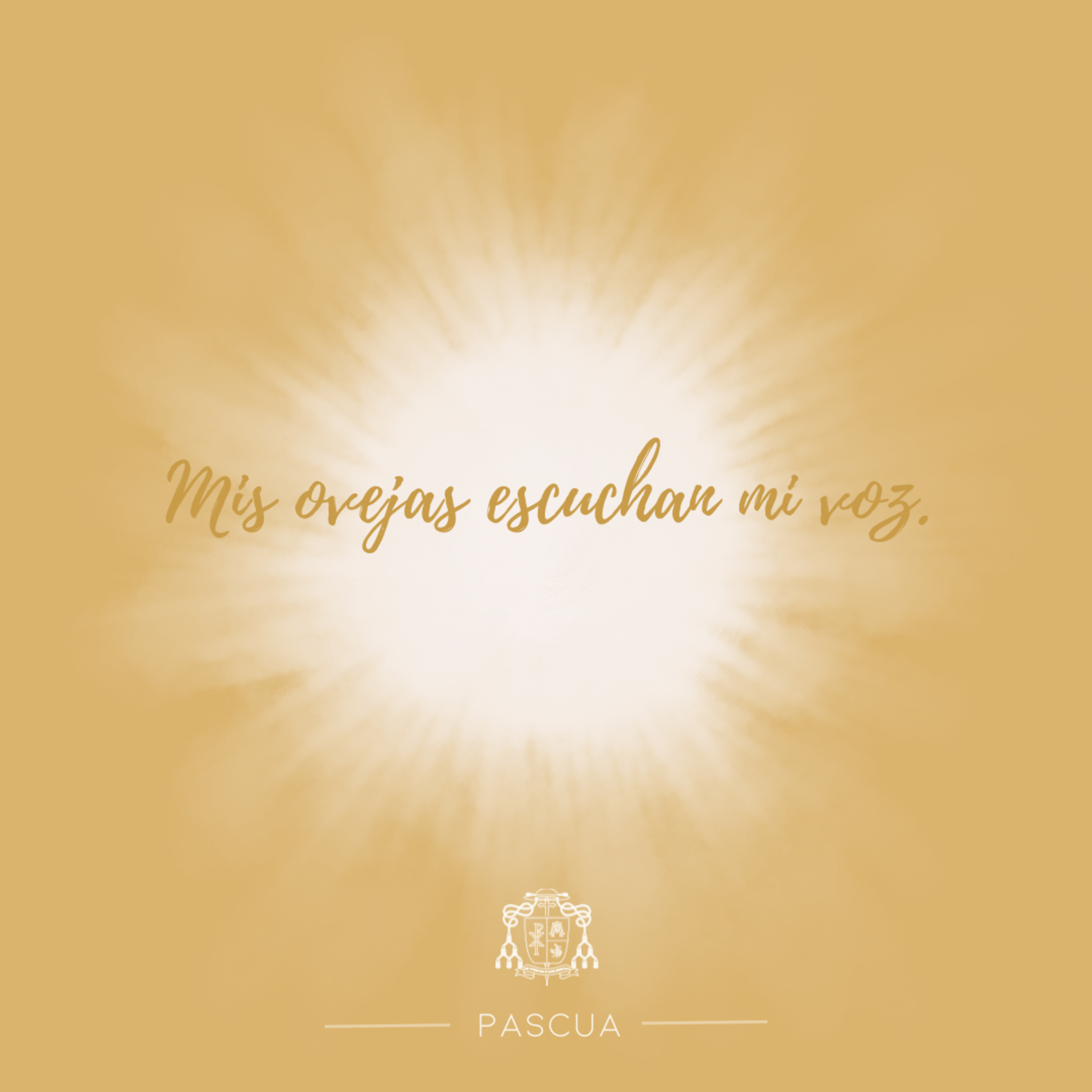 🟡 IV  DOMINGO DE PASCUA episode artwork