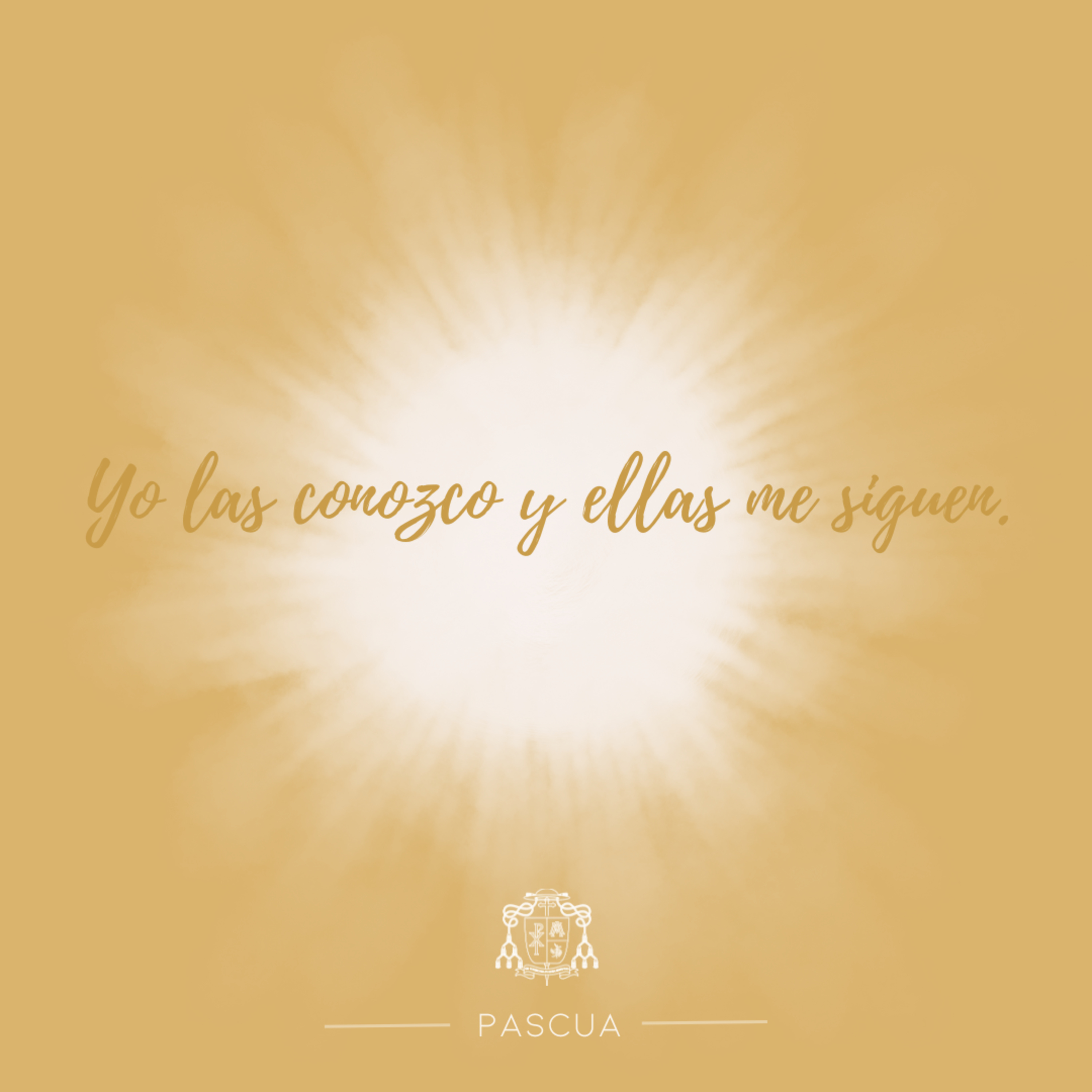 🟡 IV PASCUA, MARTES episode artwork