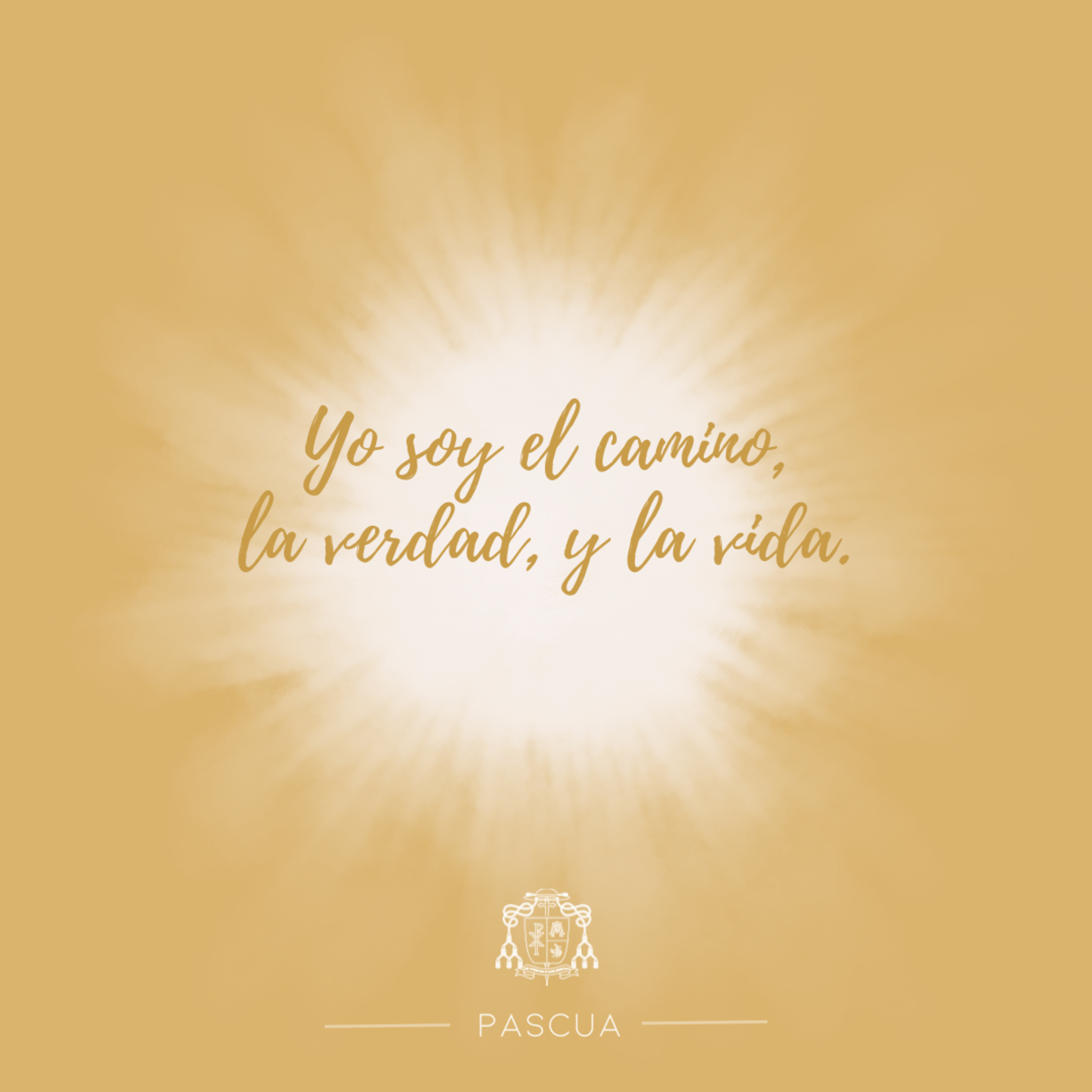 🟡 IV PASCUA, VIERNES episode artwork