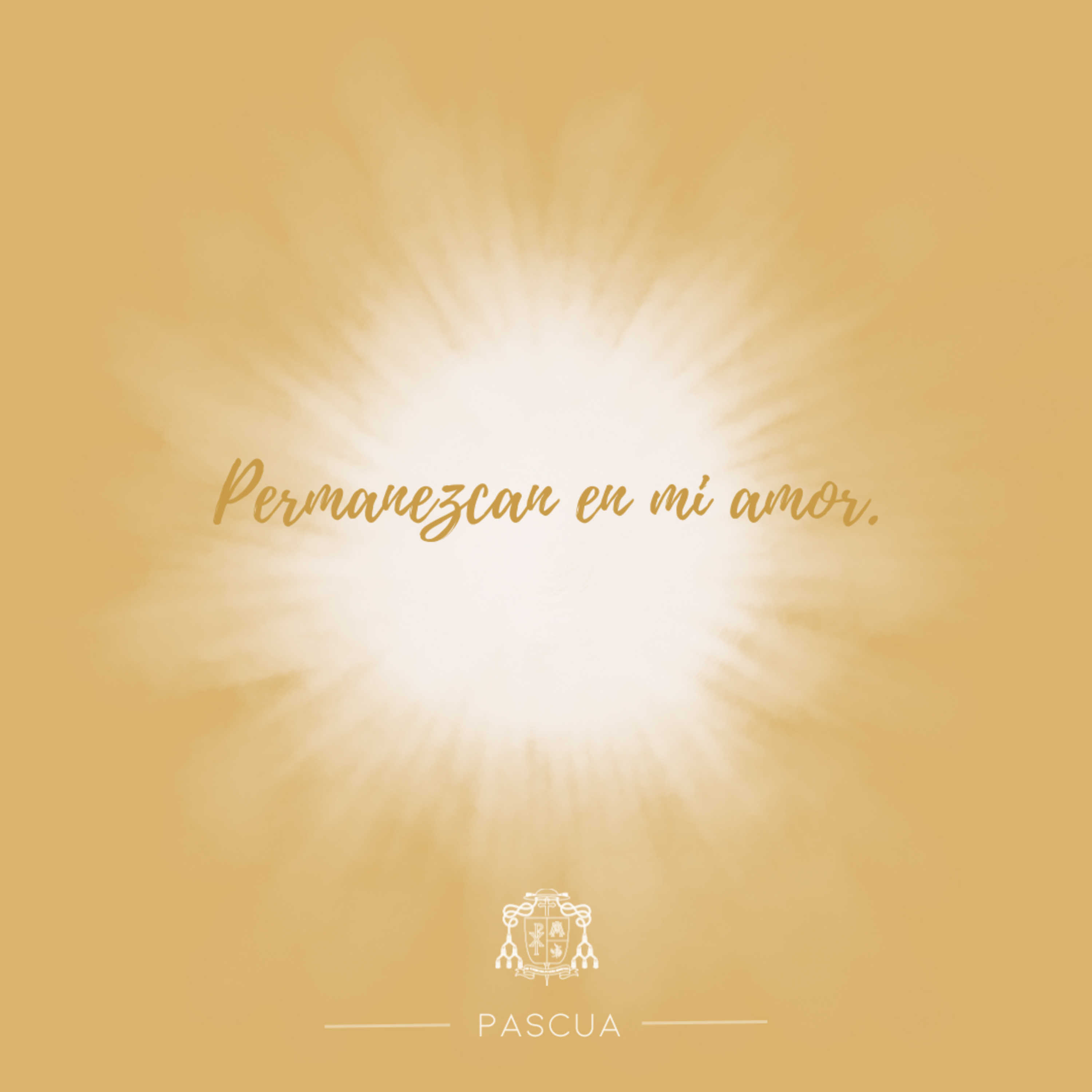 🟡 V PASCUA, JUEVES episode artwork