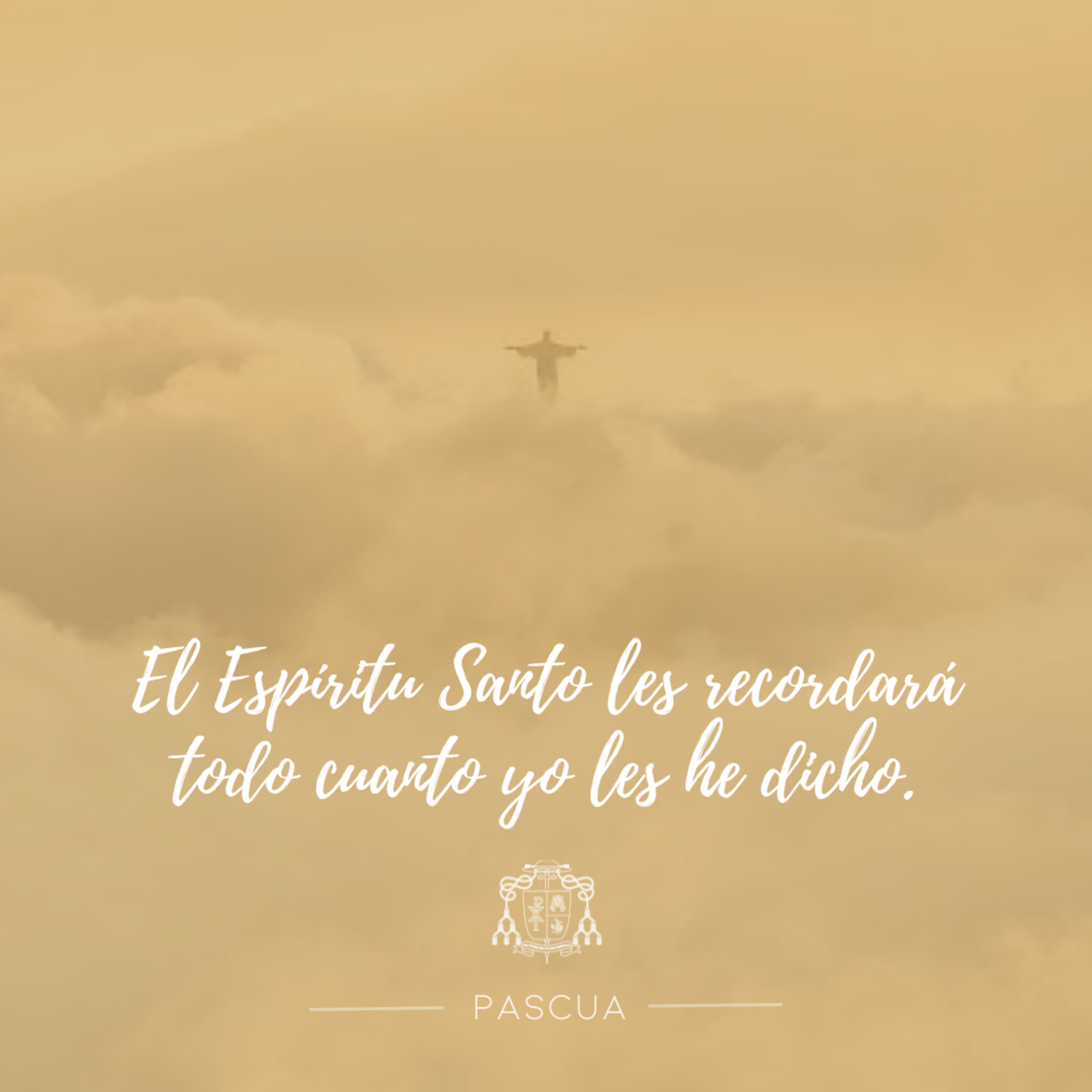 🟡 VI DOMINGO DE PASCUA episode artwork