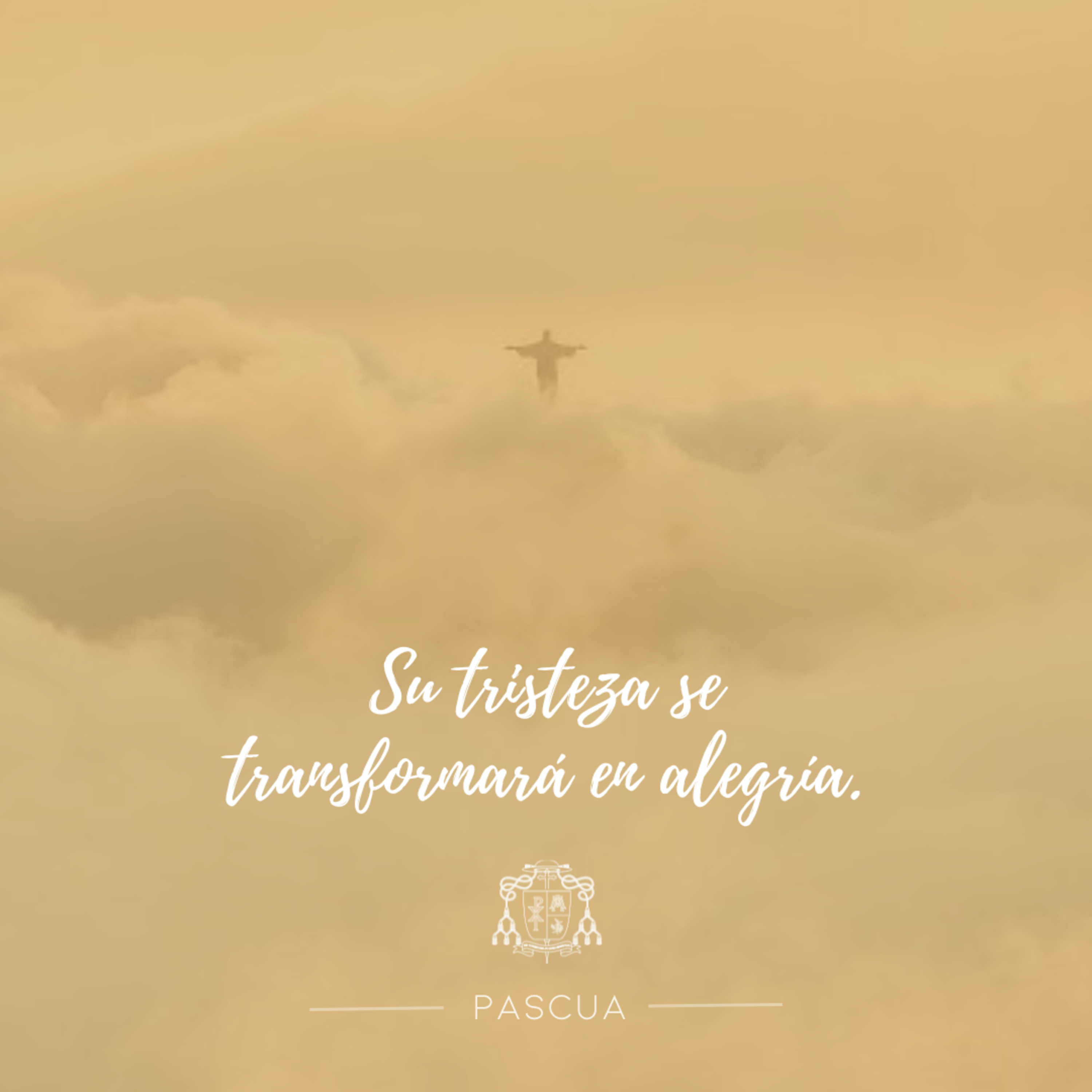 🟡 VI PASCUA, JUEVES episode artwork