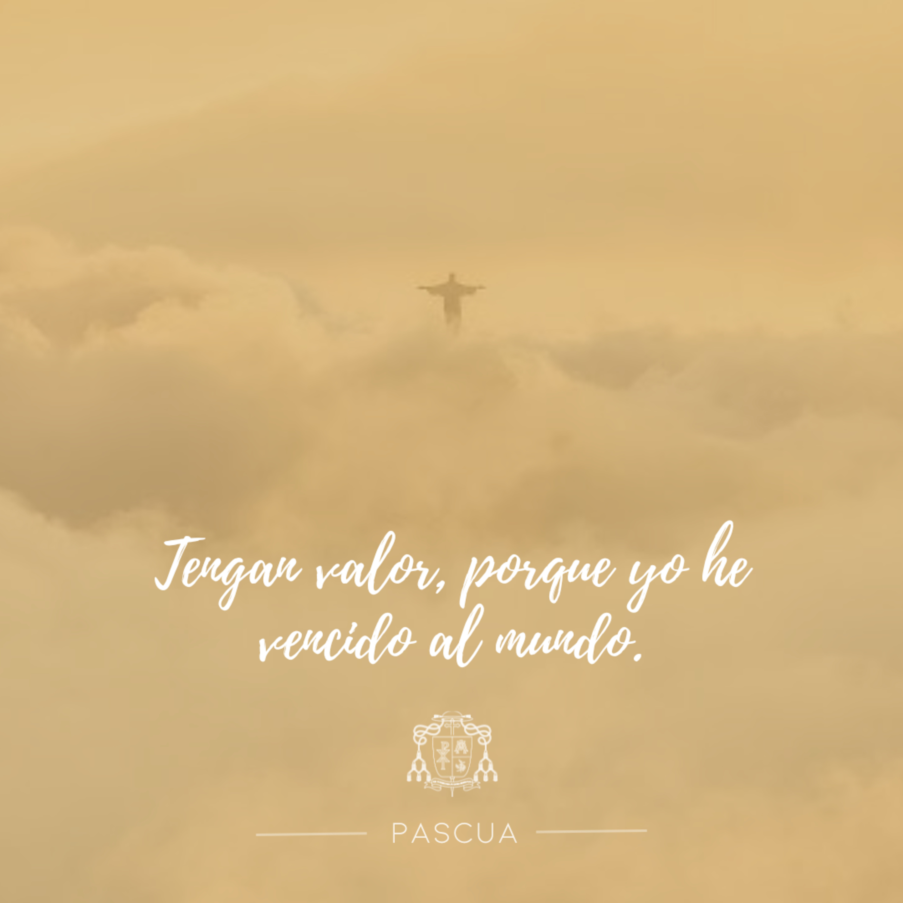 🟡 VII PASCUA, LUNES episode artwork
