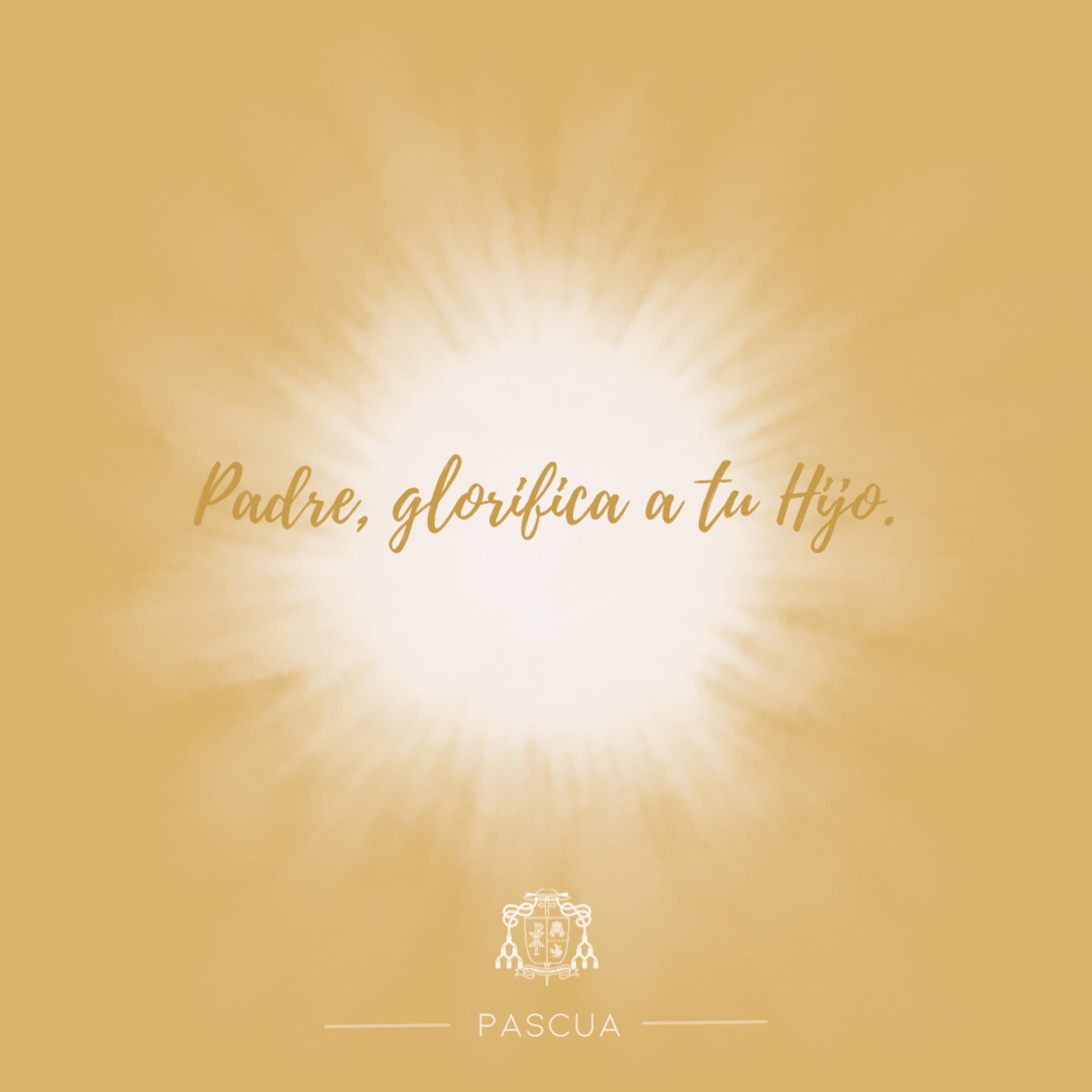 🔴 VII PASCUA, MARTES episode artwork