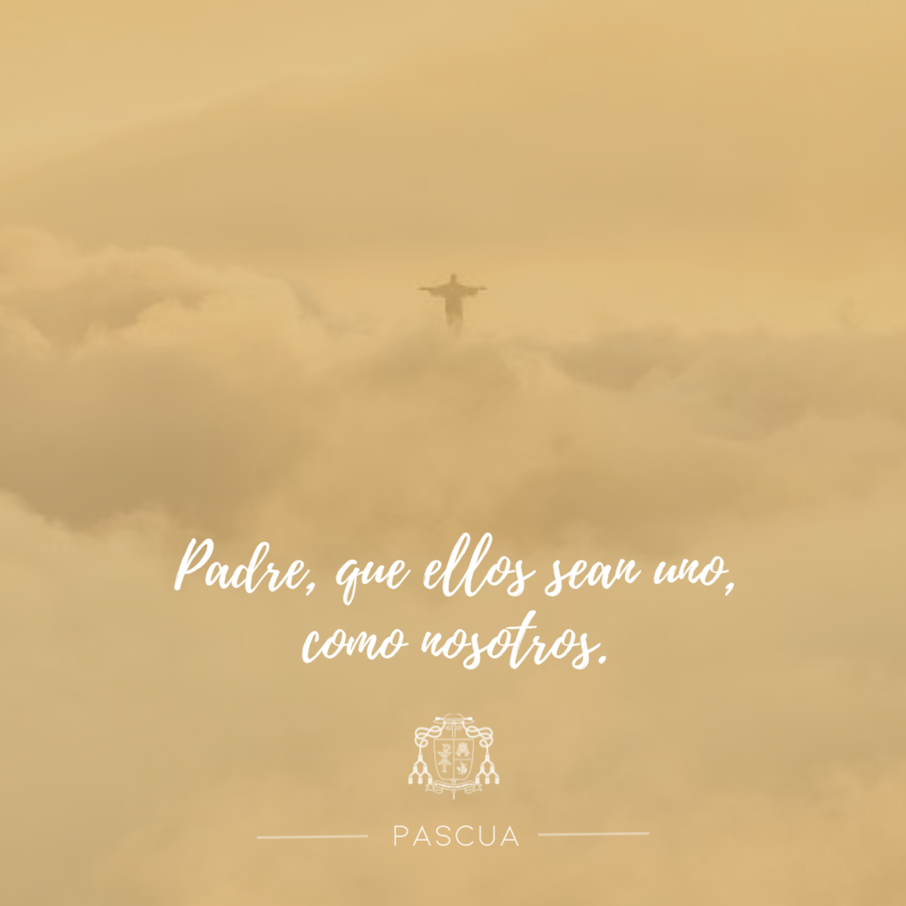 🟡 VII PASCUA, MIÉRCOLES episode artwork