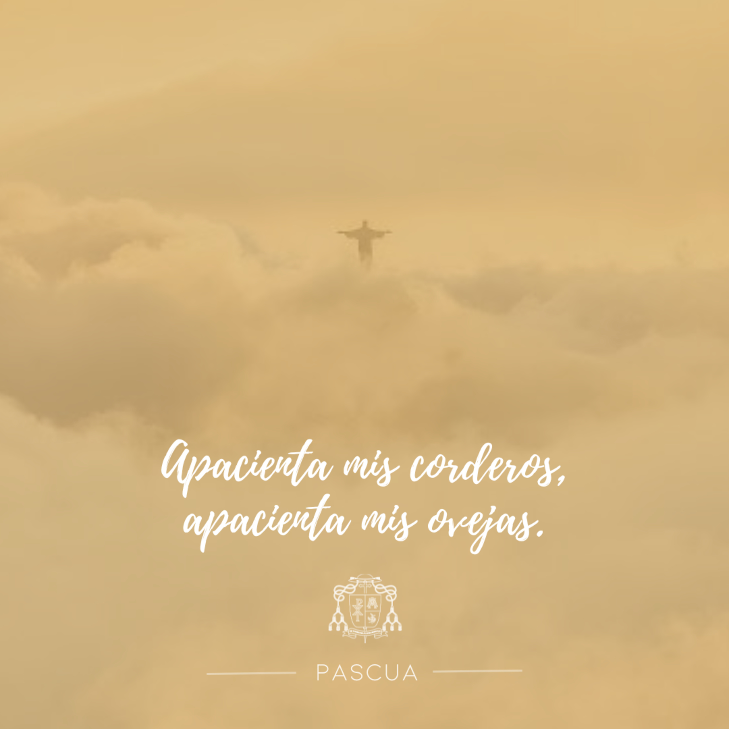 🟡 VII PASCUA, VIERNES episode artwork
