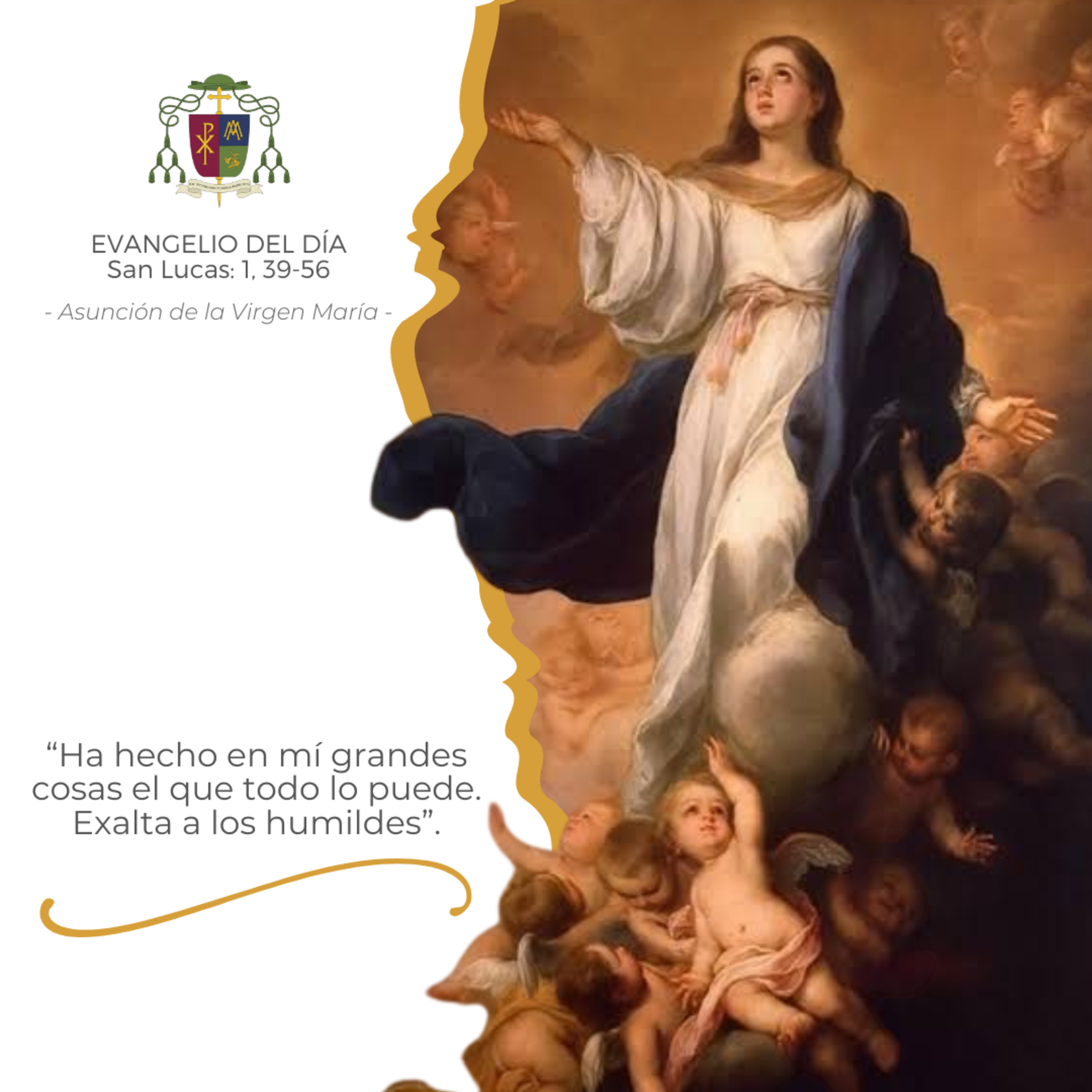  ⚪️ FIESTA DE LA ASUNCIÓN DE LA VIRGEN MARÍA, VIERNES episode artwork