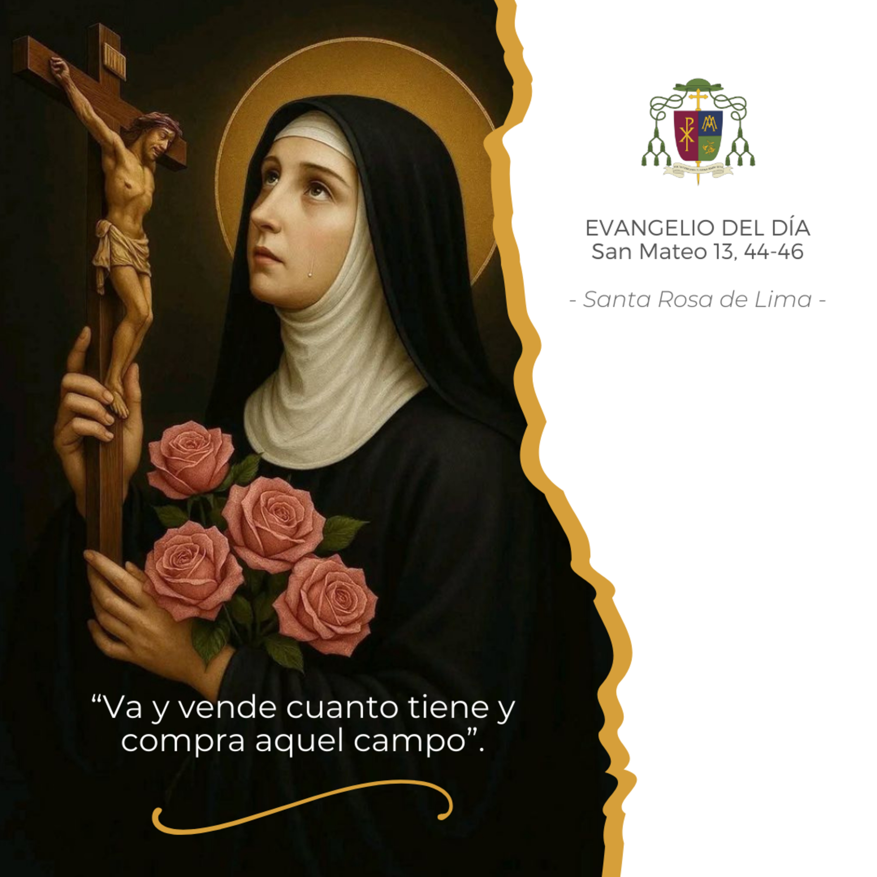  ⚪️ FIESTA DE SANTA ROSA DE LIMA, SÁBADO episode artwork