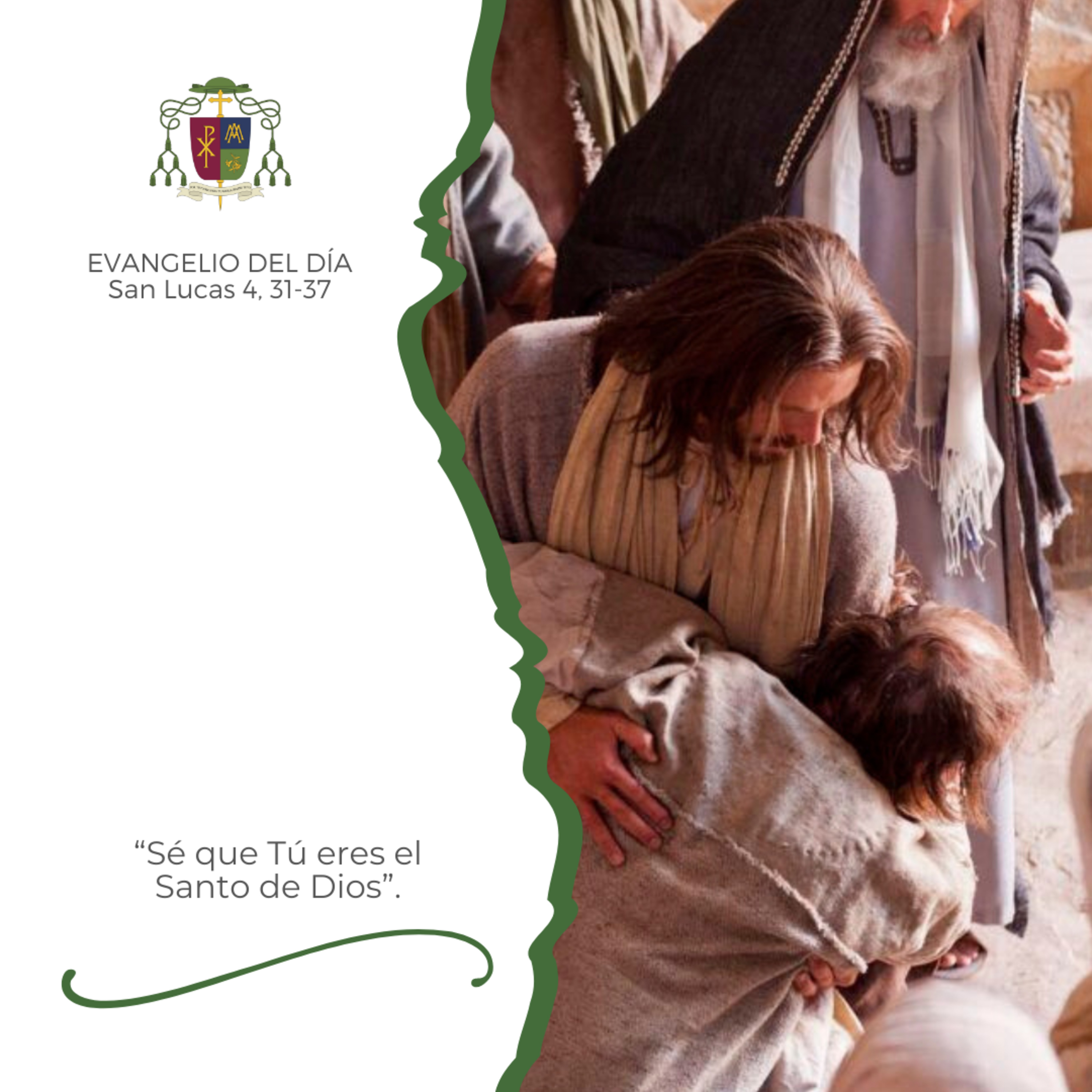 🟢 XXII ORDINARIO, MARTES episode artwork