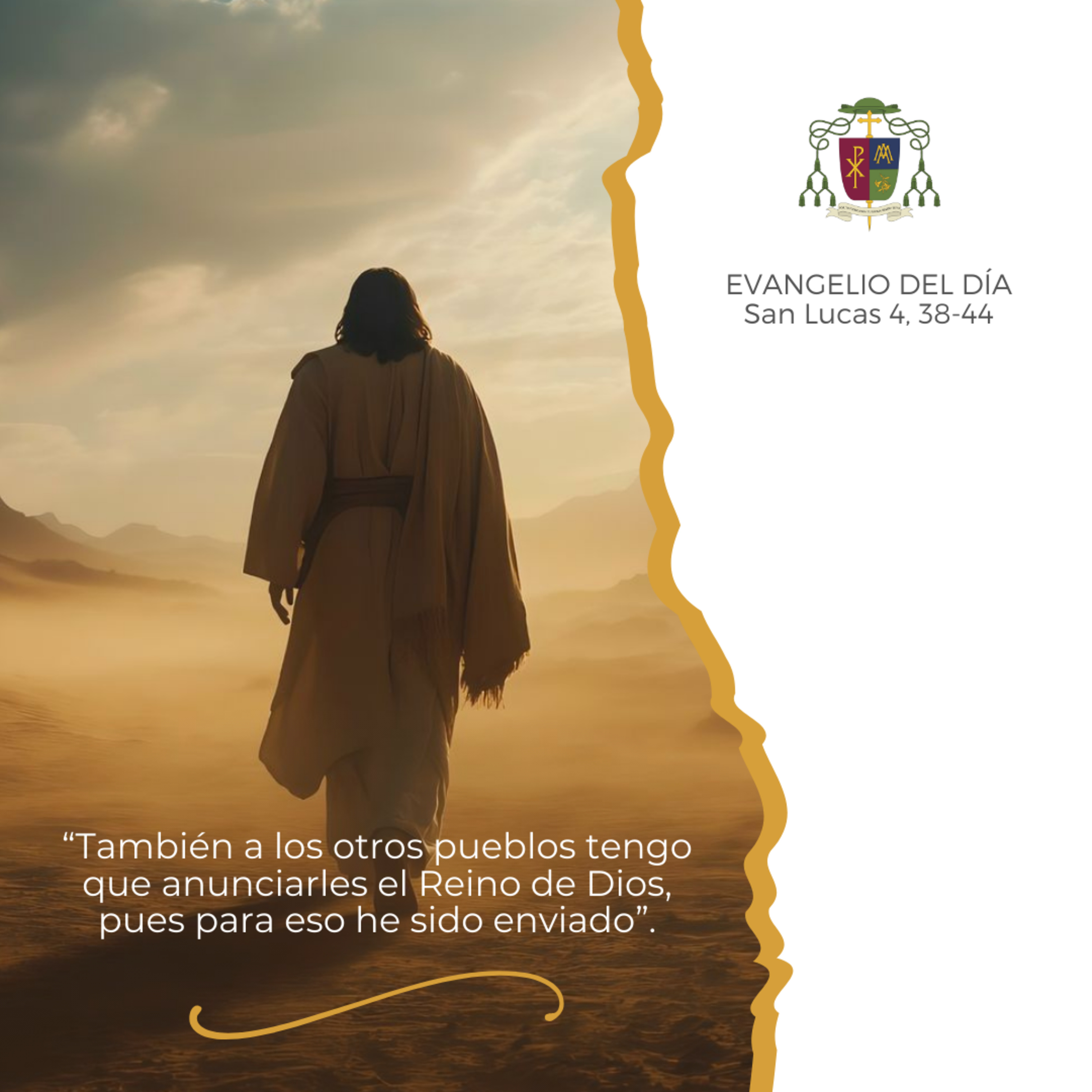 ⚪️ XXII ORDINARIO, MIÉRCOLES episode artwork