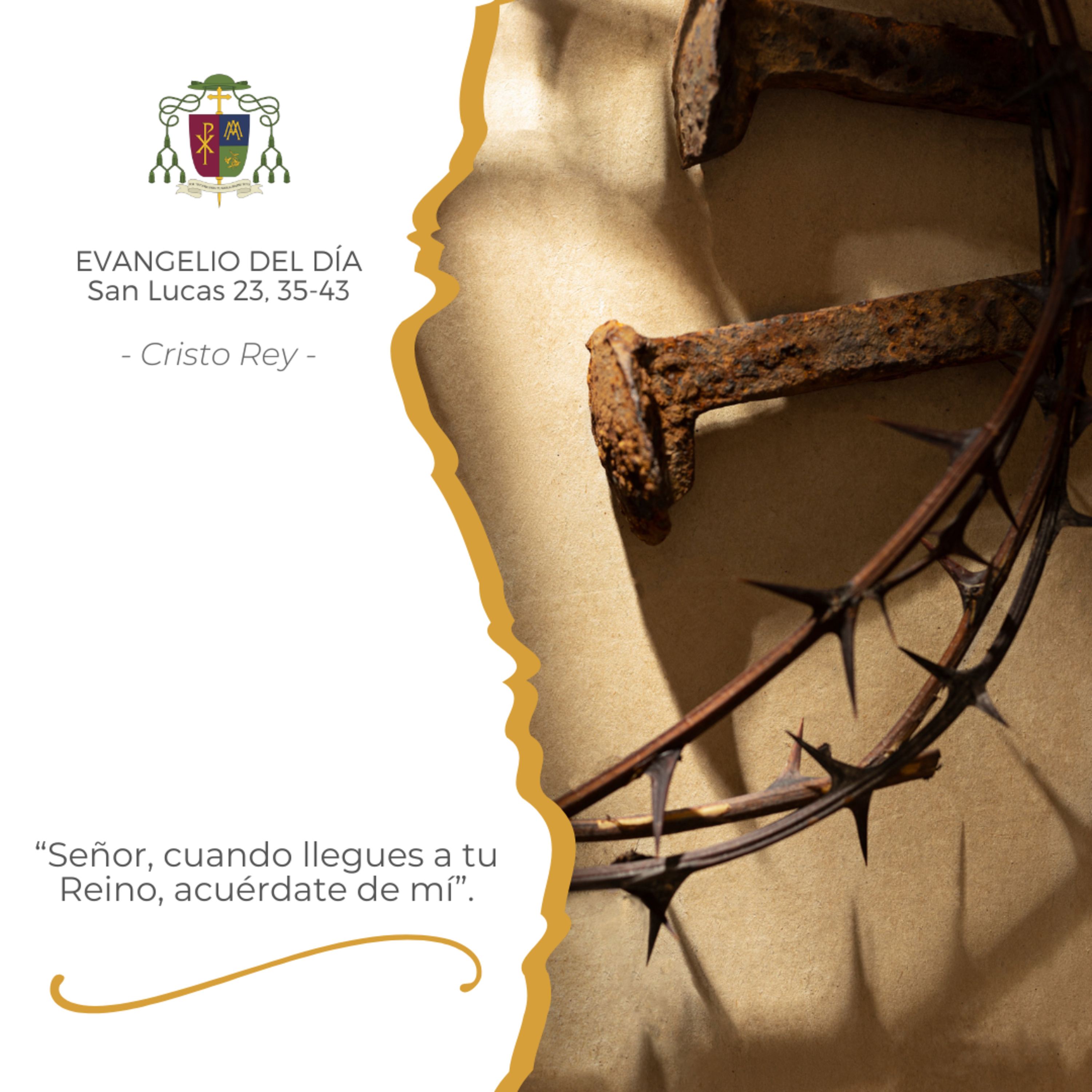 ⚪️ DOMINGO DE CRISTO REY episode artwork