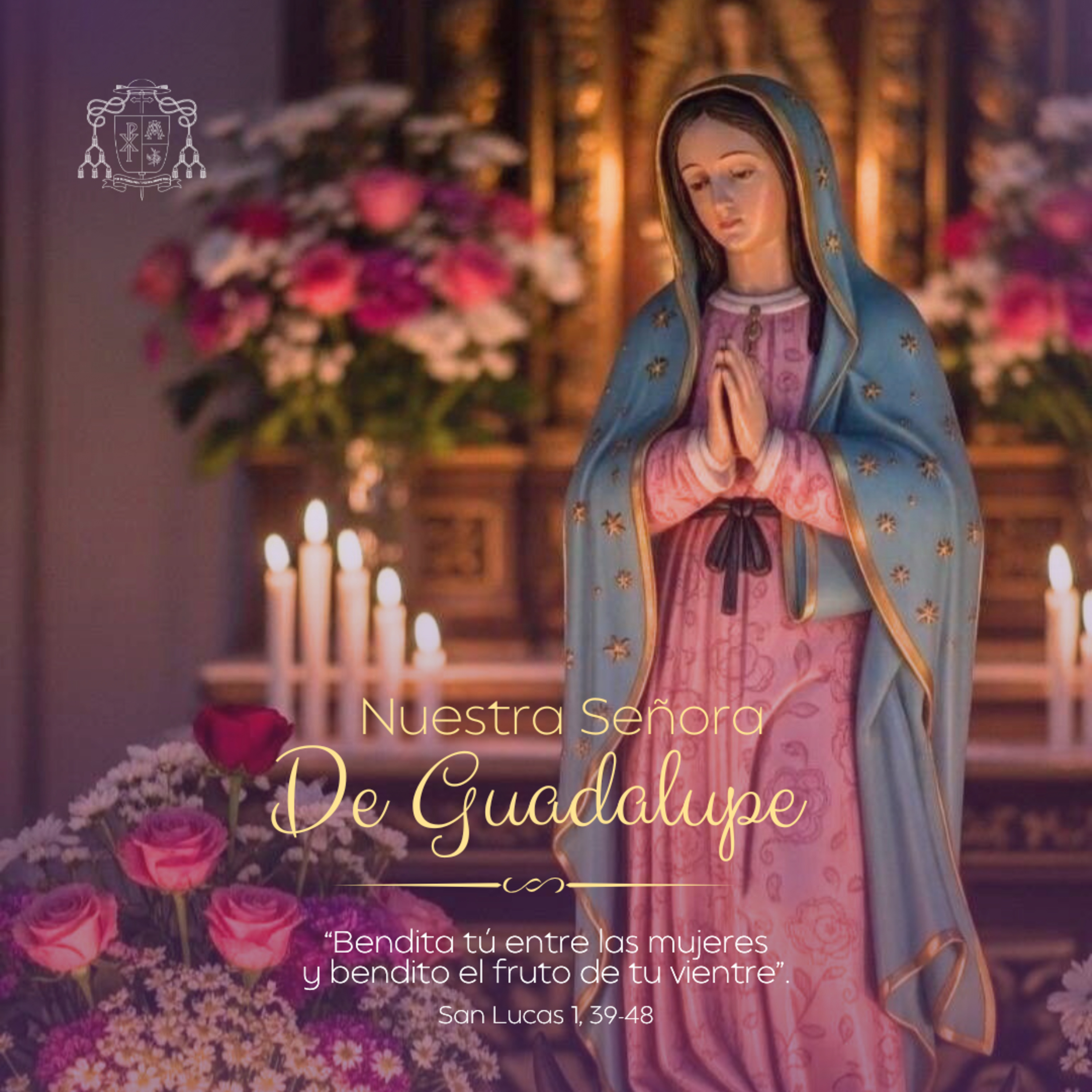  ⚪️ NUESTRA SEÑORA DE GUADALUPE, VIERNES episode artwork