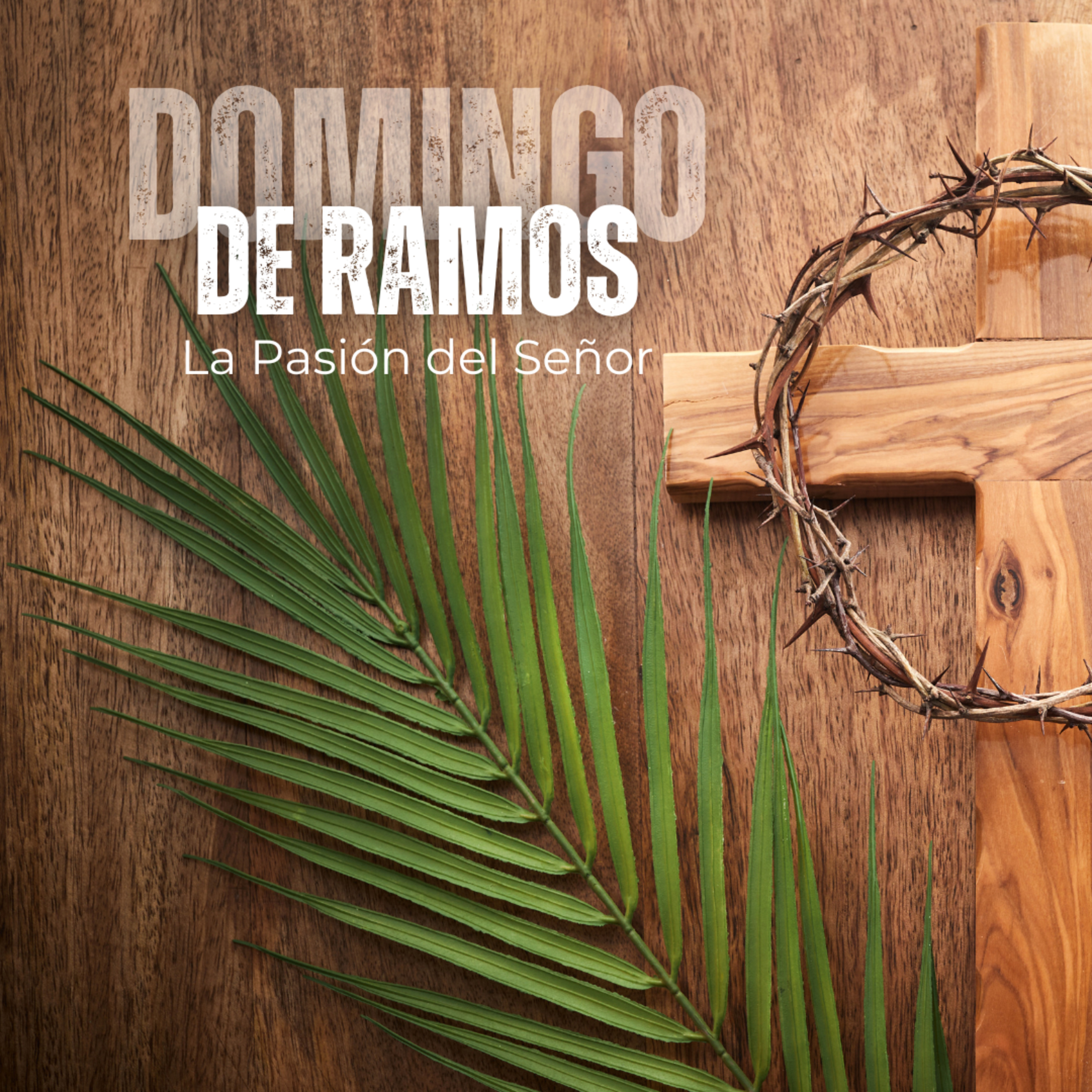 🔴🌿DOMINGO DE RAMOS episode artwork
