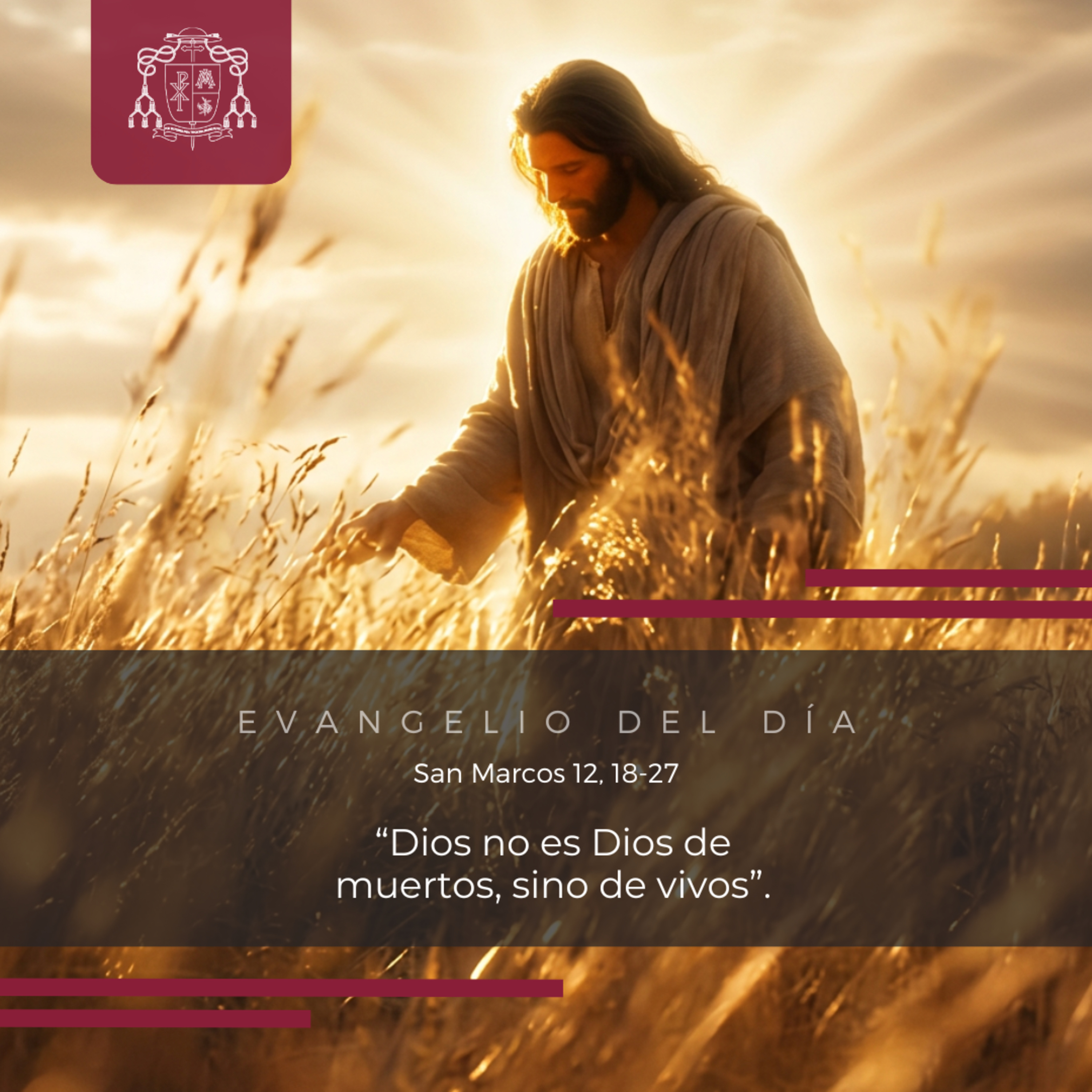 🔴 IX ORDINARIO, MIÉRCOLES episode artwork