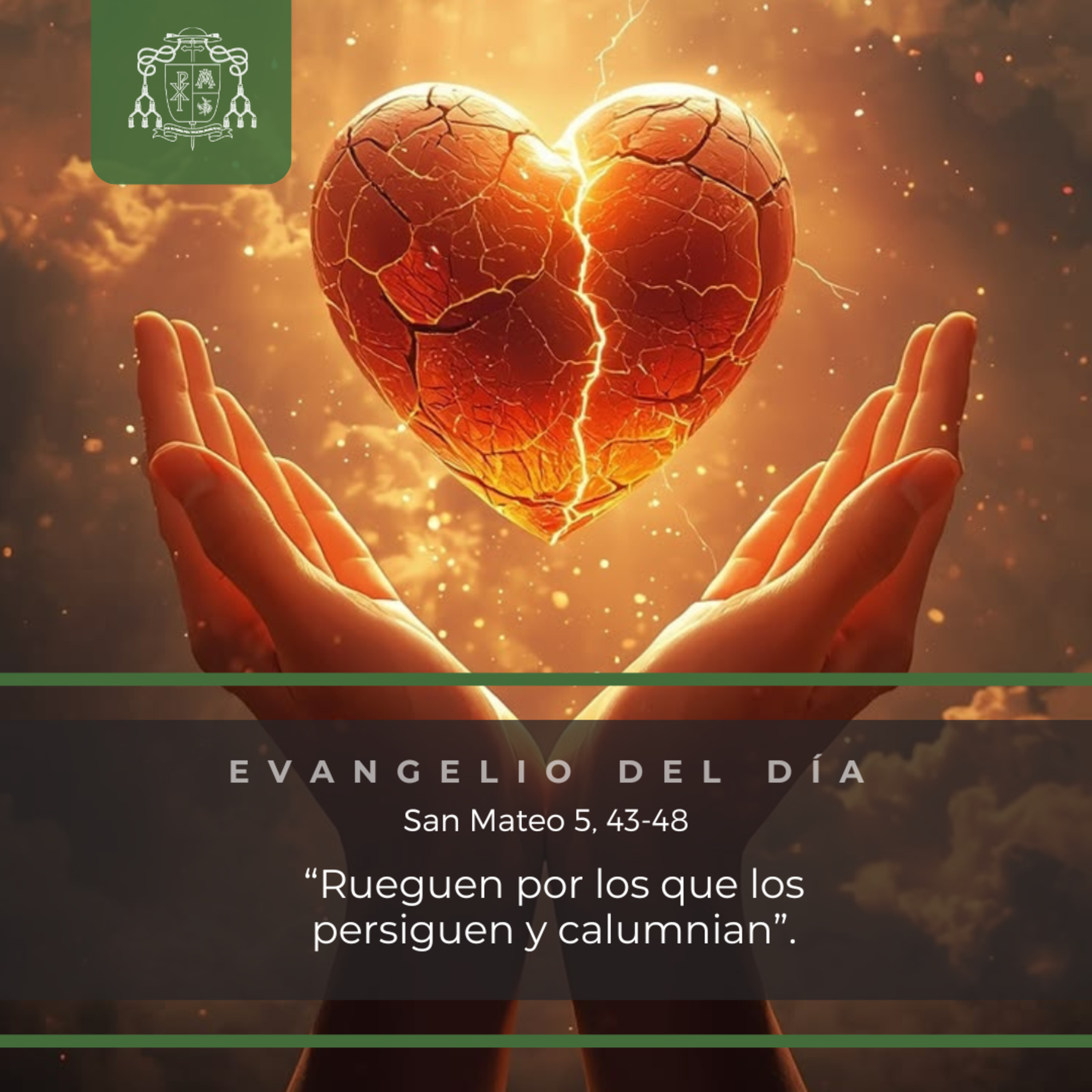🟢 XI ORDINARIO, MARTES episode artwork
