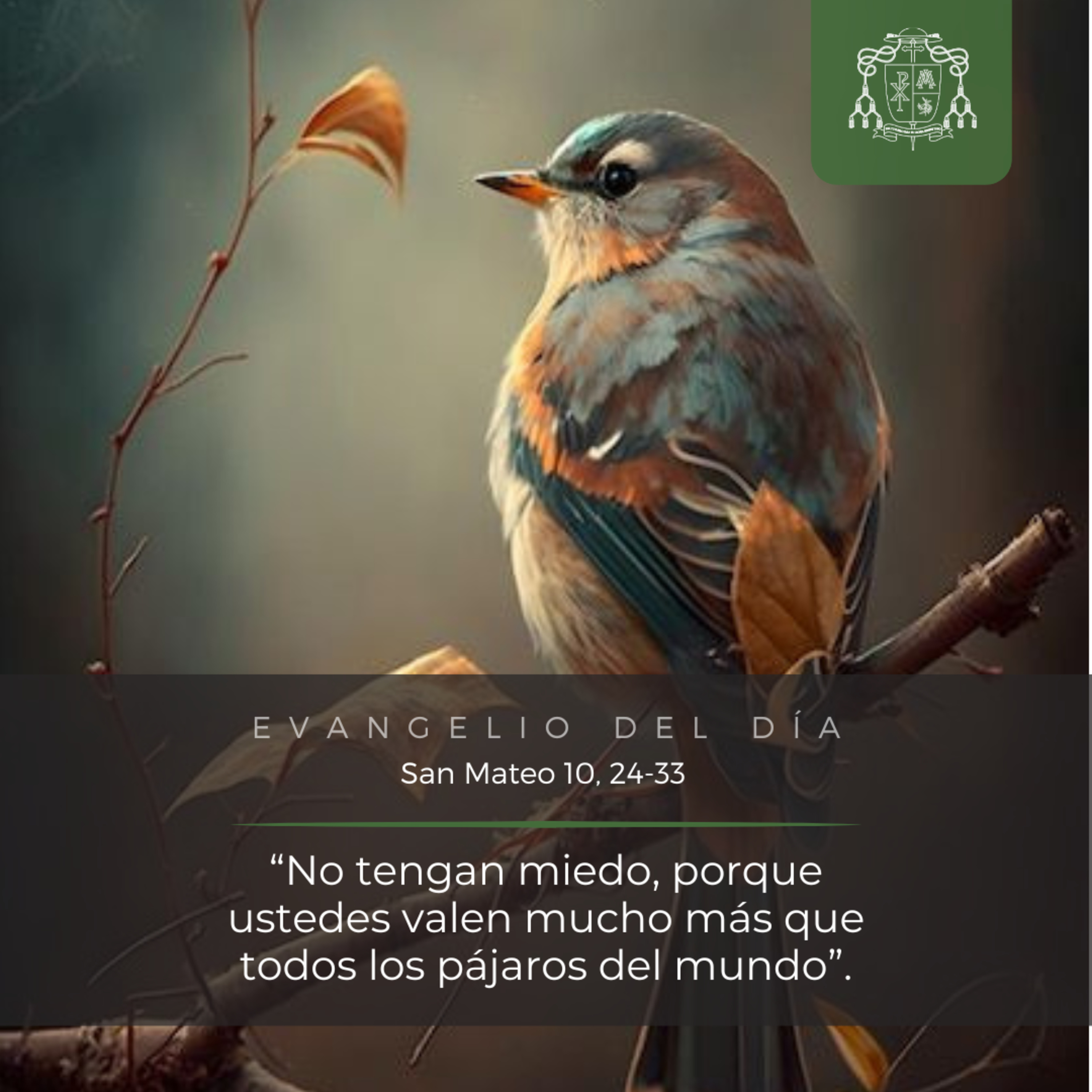 ⚪ XIV ORDINARIO, SÁBADO episode artwork