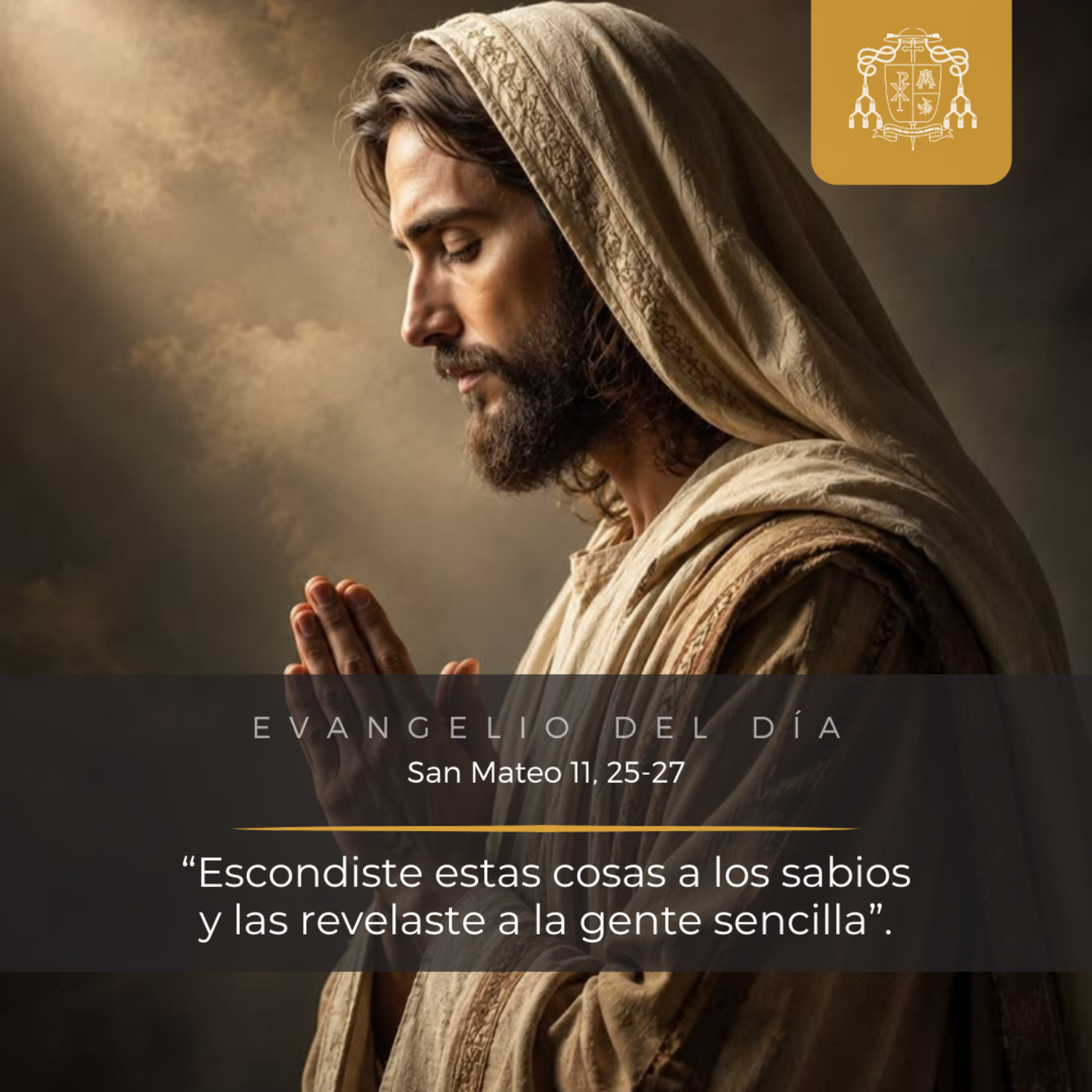 ⚪️ XV ORDINARIO, MIÉRCOLES episode artwork