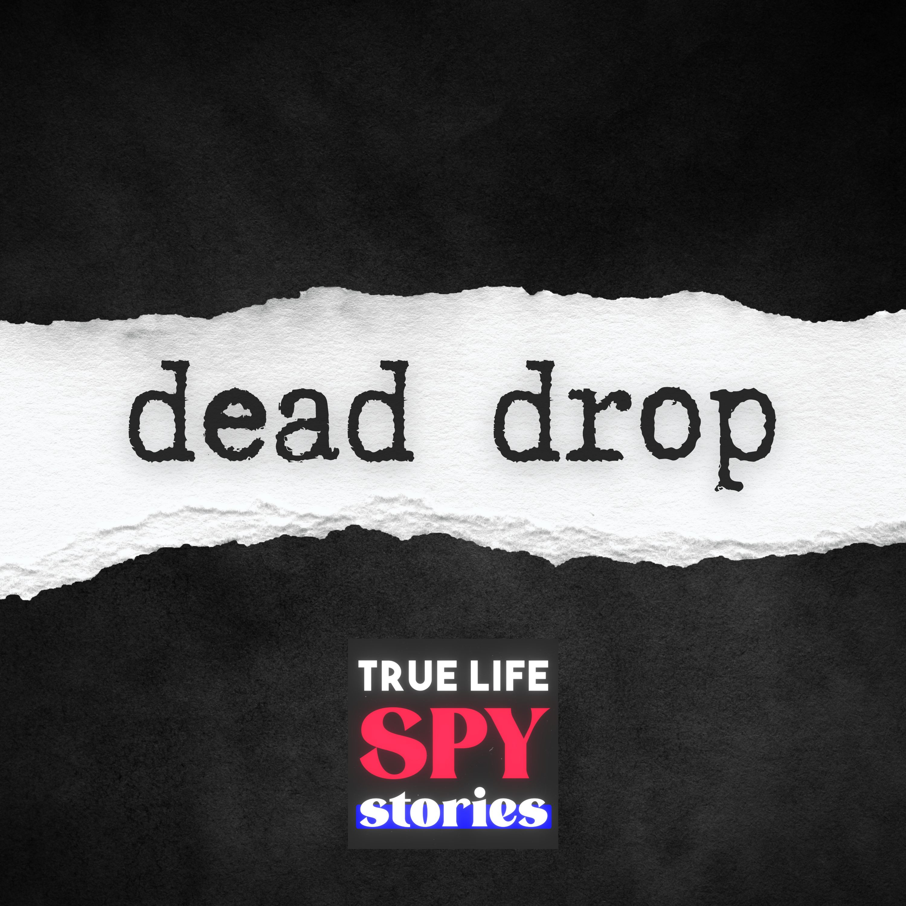 dead drop #6 | The Plot Thickens In The China Spy Scandal