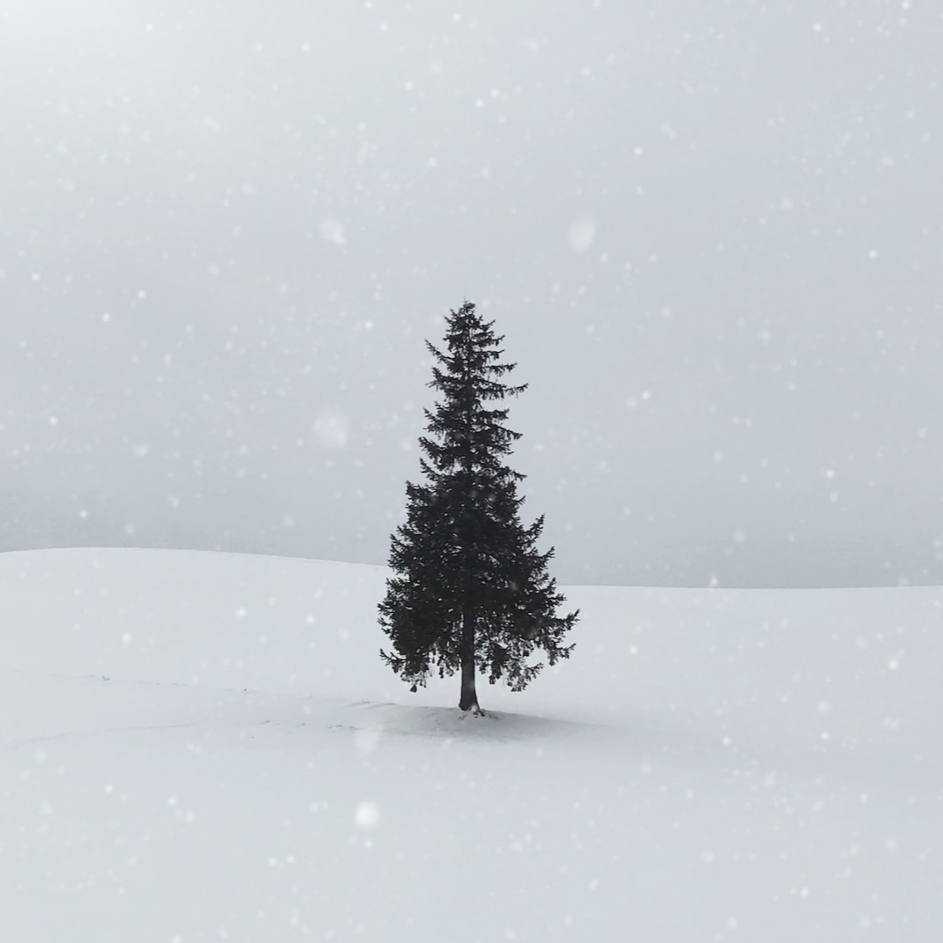 A COVID Christmas: Reflection on Choices episode artwork